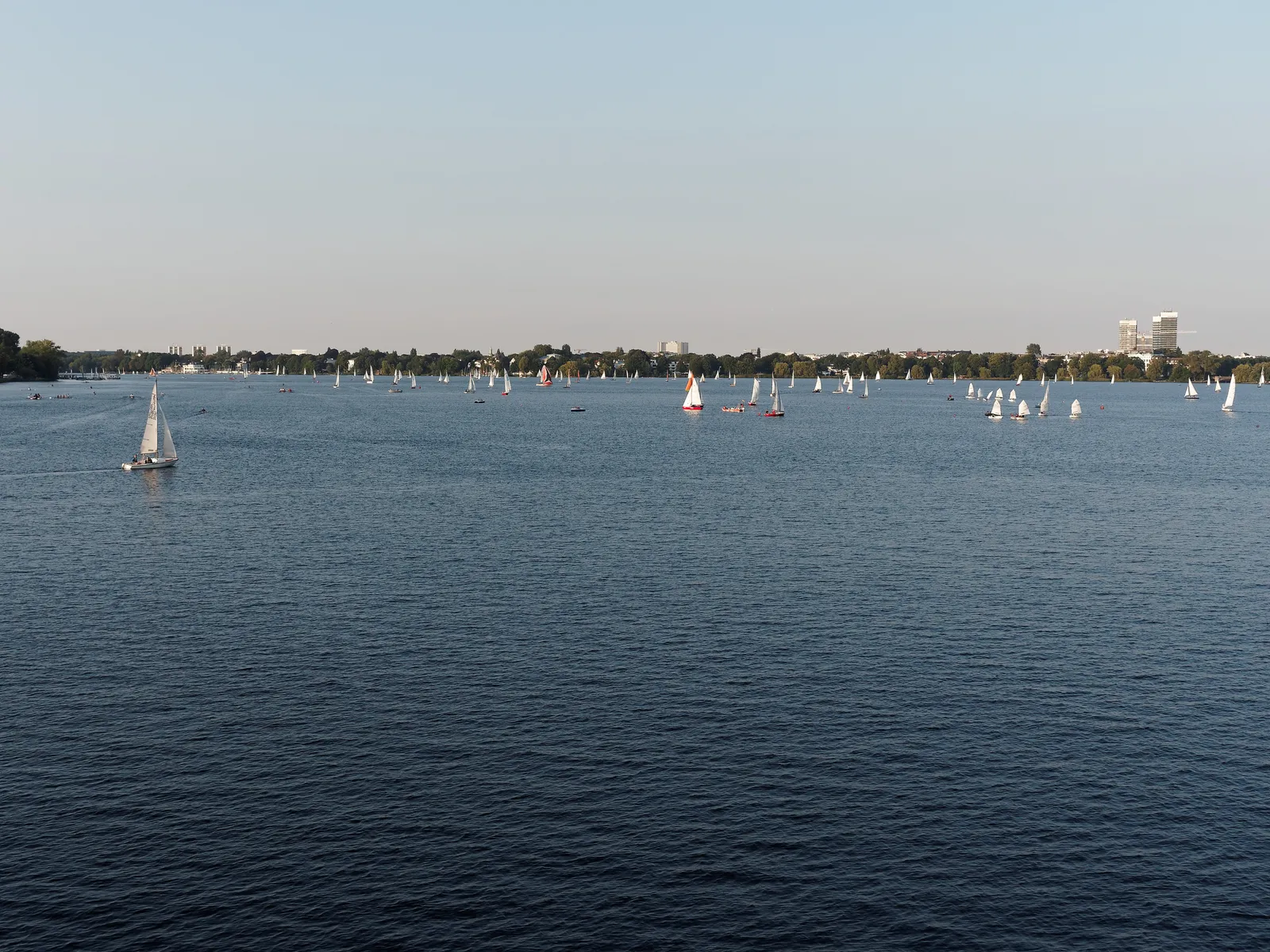 Dozens of small white sailing boats scattered across the open water of Hamburg's Outer Alster, with the wooded far shore and a few towers on the horizon
