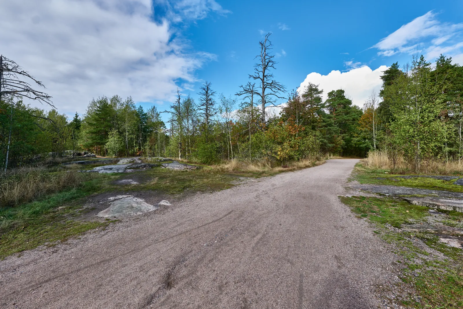 A broad gravel trail forking through Helsinki's Central Park at Laakso, birch and pine on both sides, low grey rock outcrops showing through the grass and a blue sky with scattered cloud