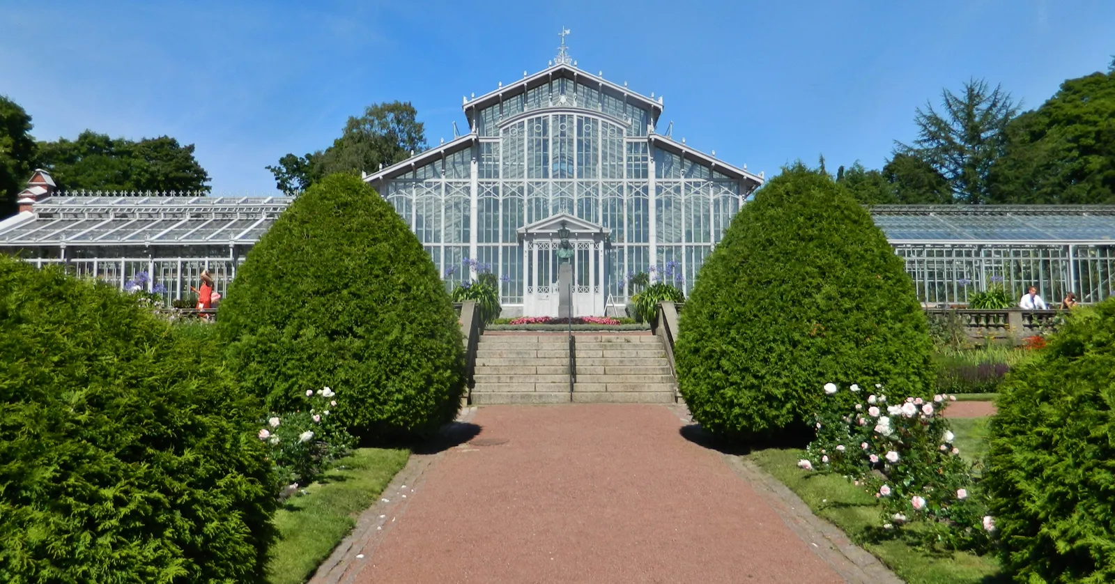 The Helsinki Winter Garden seen head-on from its rose garden, a tall Victorian glasshouse of white-painted iron and glass with long low wings either side, a brick path leading up to the steps between two clipped conical hedges