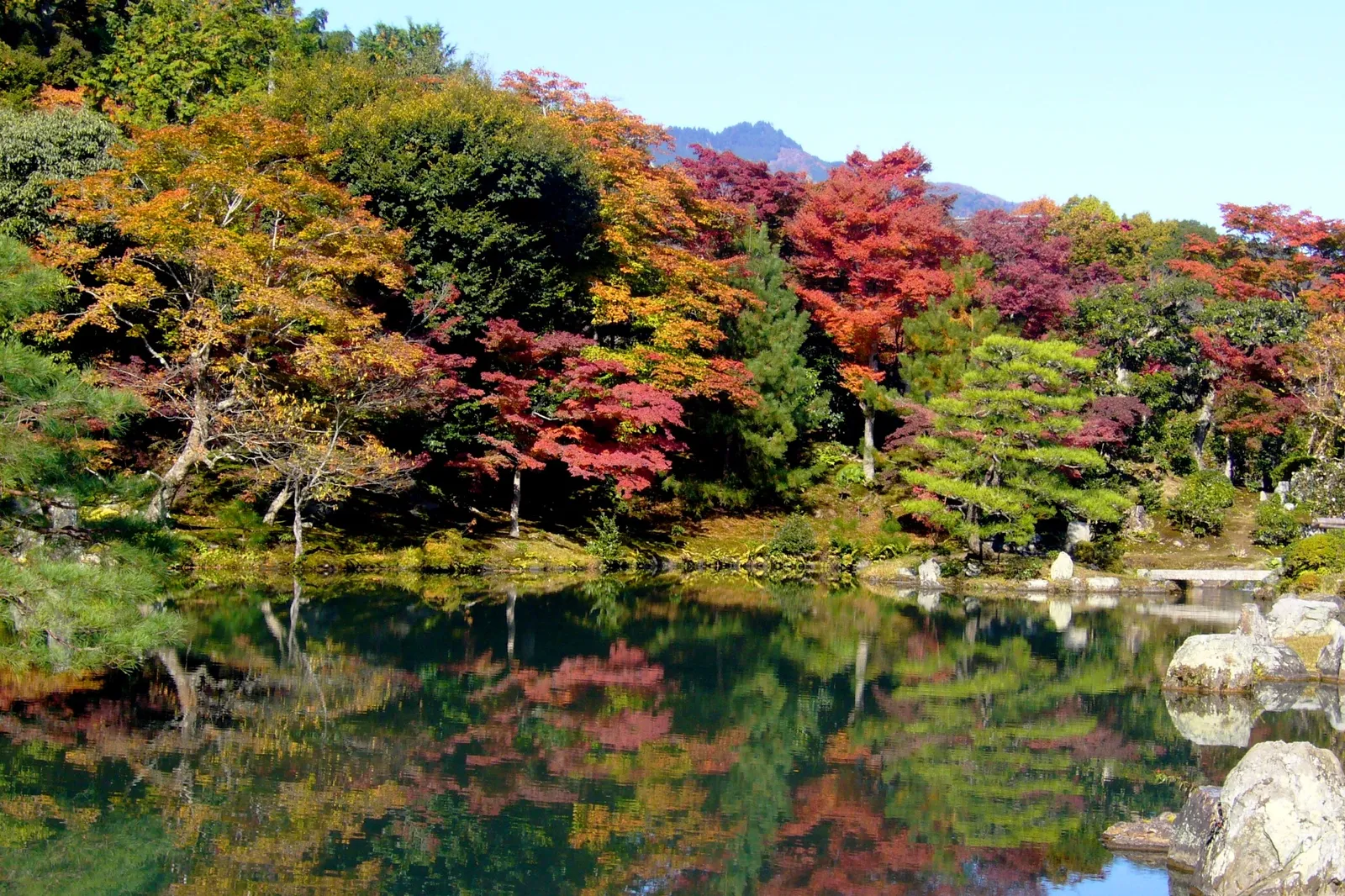 The Sogenchi pond garden at Tenryu-ji in Kyoto in autumn, red and gold maples and clipped pines standing along the far bank with their colour mirrored in still water and a wooded mountain behind