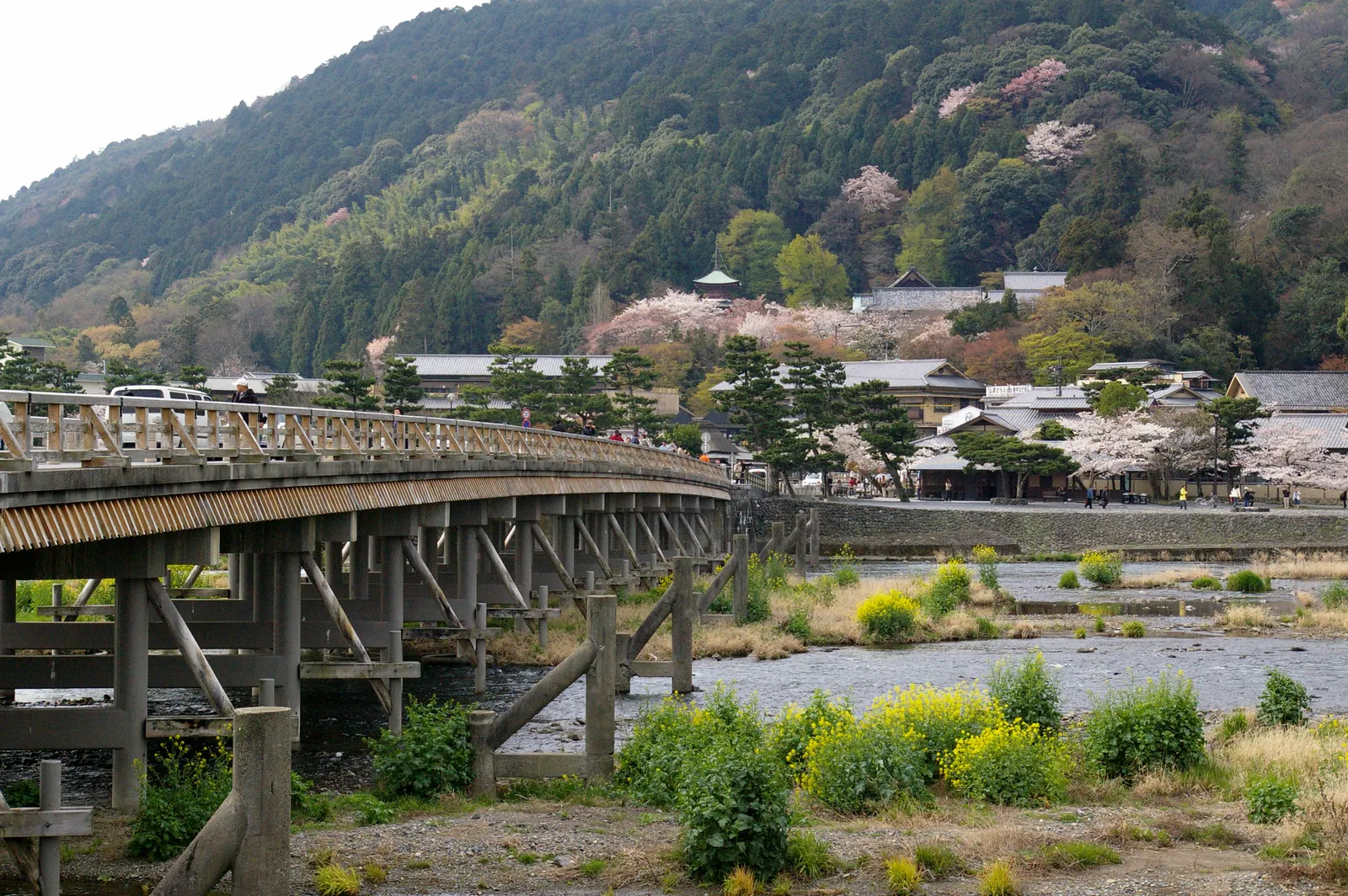 The Togetsukyo bridge at Arashiyama in Kyoto, a long low timber-railed crossing over a shallow river, with wooded hills and blossoming trees along the far bank behind it