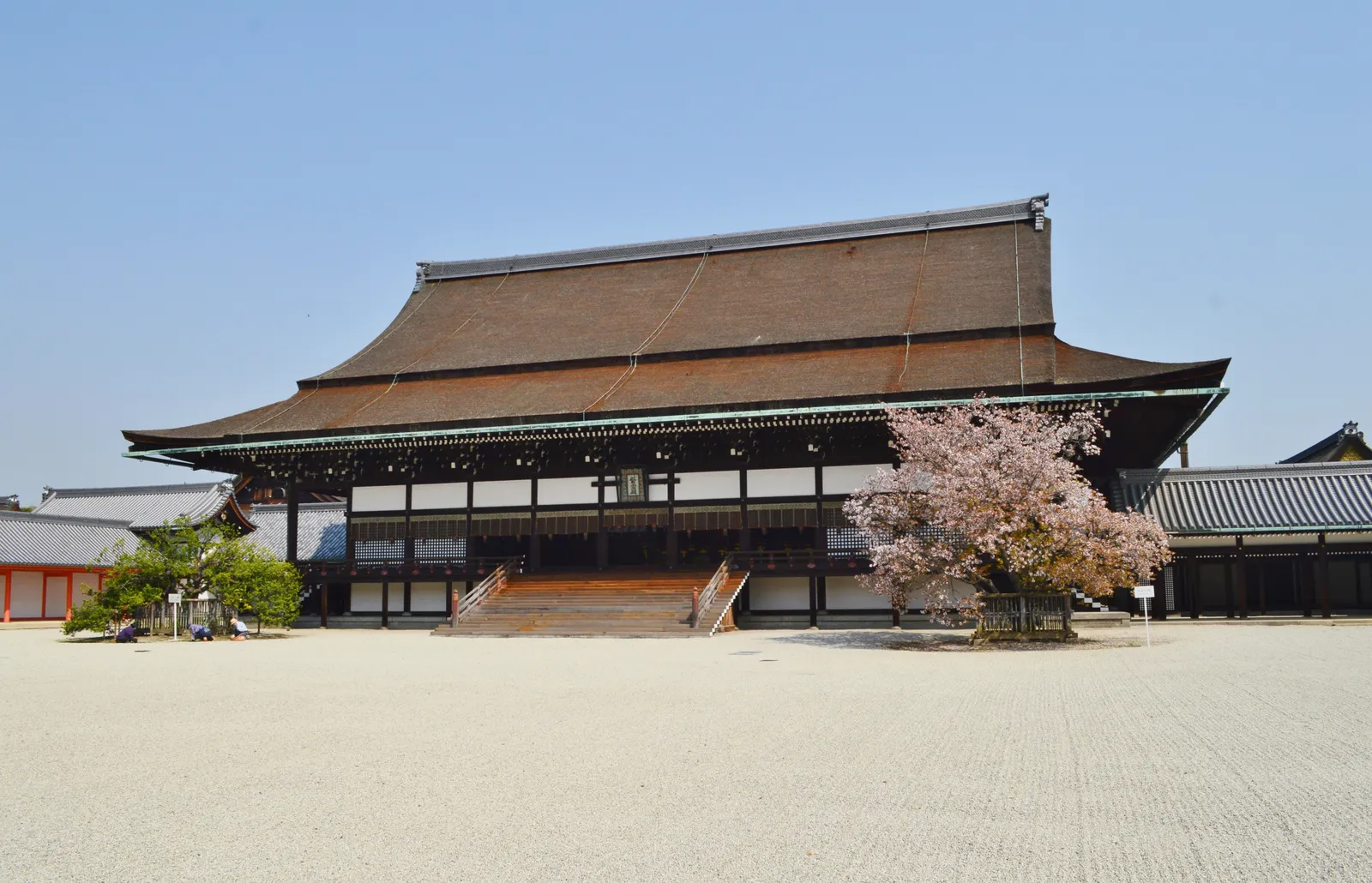 The Shishinden hall at the Kyoto Imperial Palace, a long low building under a deep bark roof standing across a raked gravel court, with a flowering cherry tree at one corner