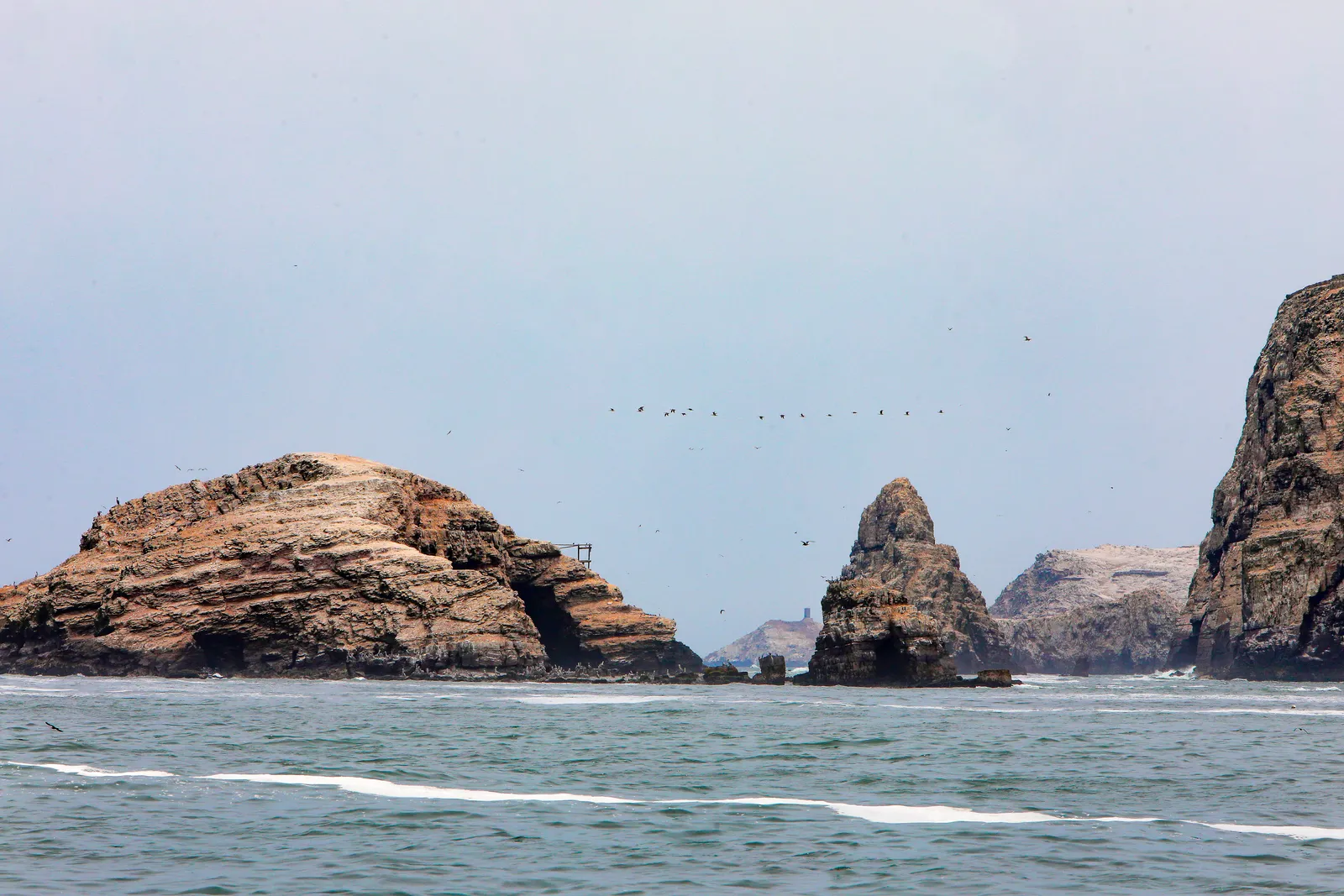 The bare rock stacks of the Palomino islands off Callao, Peru, with a line of seabirds flying above them and swell breaking at their base