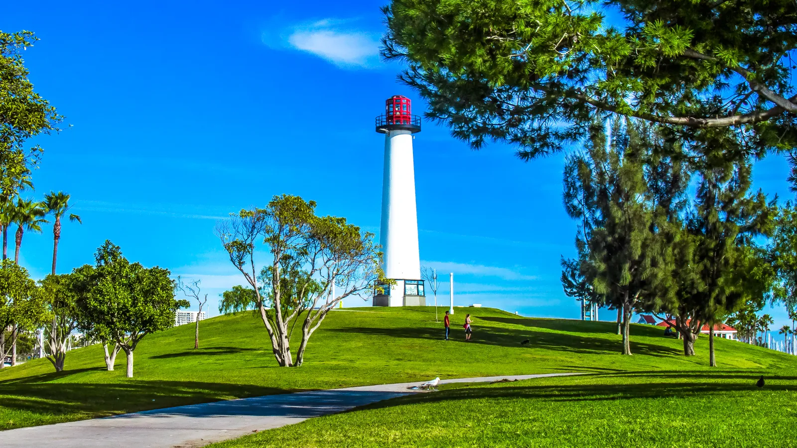 The Lions Lighthouse in Long Beach, a slim white tower with a red lantern room standing on a green grass mound, with palms and a paved path curving up to it under a clear blue sky