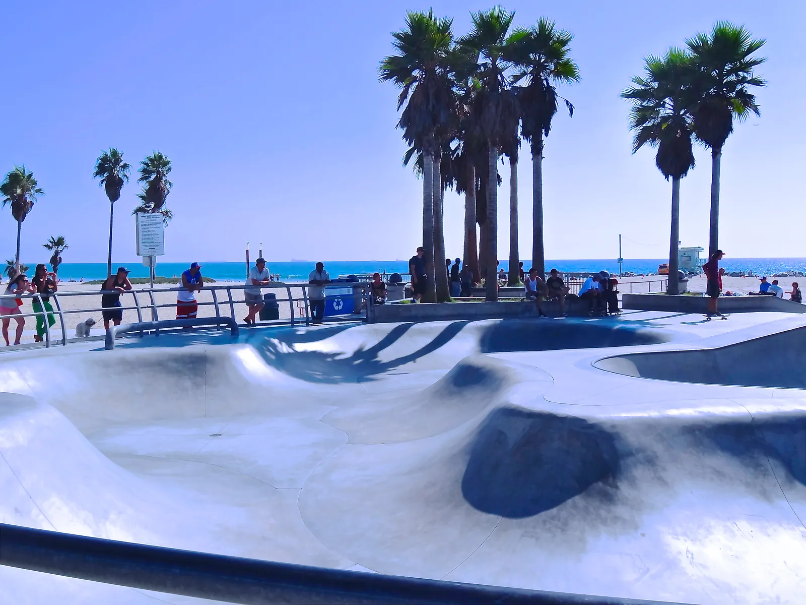 The concrete bowls of the Venice Beach Skatepark, smooth grey curves sunk into the sand with skaters and onlookers around the rim, a row of tall palms behind and the blue Pacific beyond