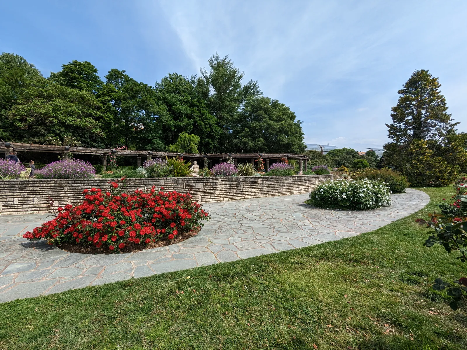 A bed of red roses beside a flagstone path in the international rose garden at Parc de la Tête d'Or in Lyon, with a low stone wall and a pergola behind it under a blue sky