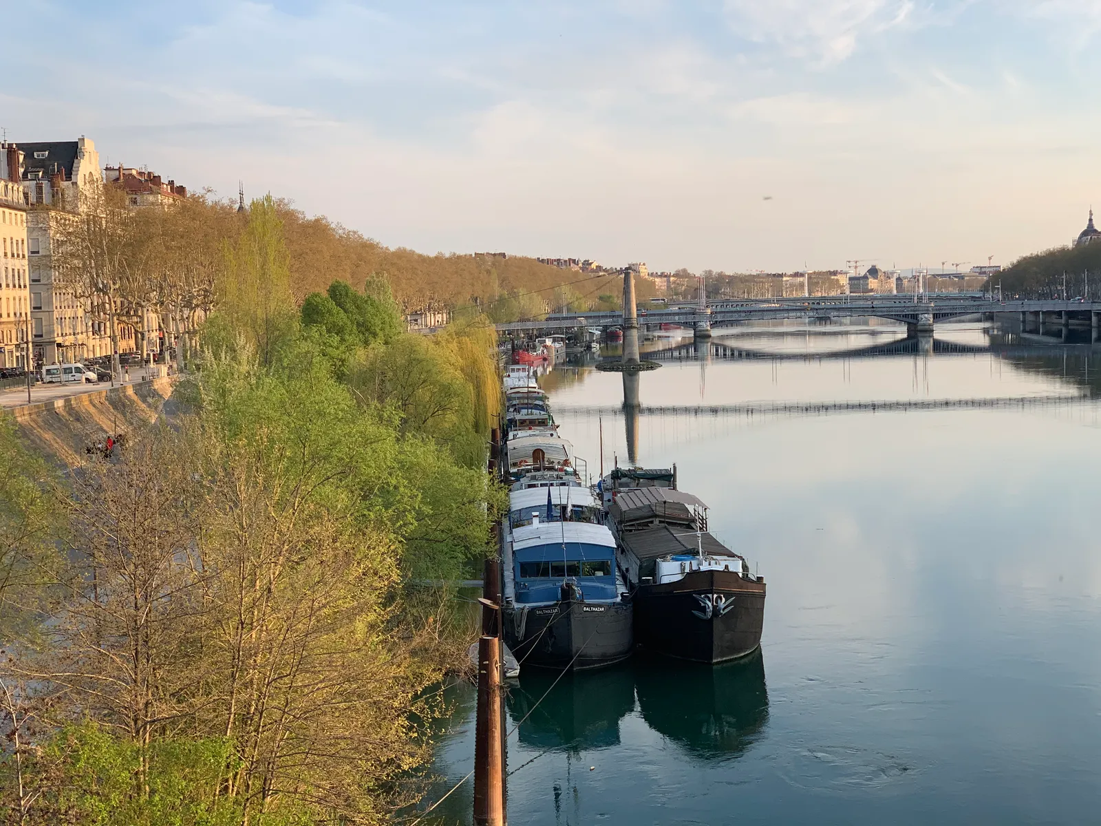 Barges moored end to end along the left bank of the Rhône in Lyon in evening light, with a tree-lined quay above them and road bridges crossing downstream
