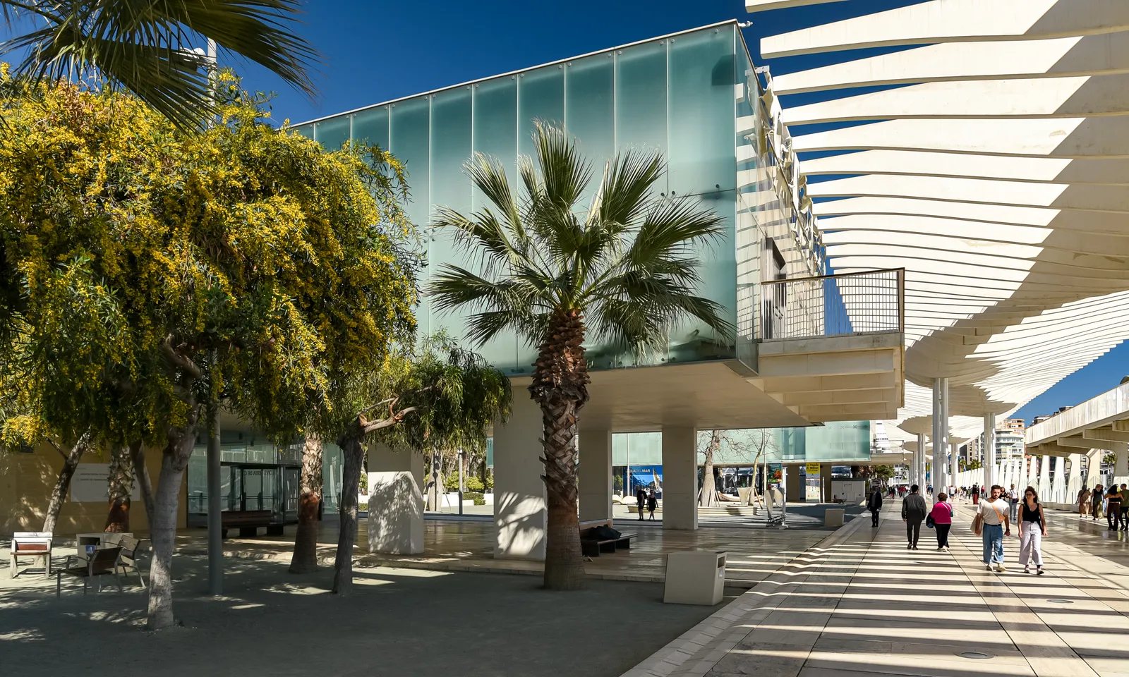 Palm trees and pedestrians on the Palmeral de las Sorpresas promenade in Málaga's port, with the Pompidou cube visible in the background