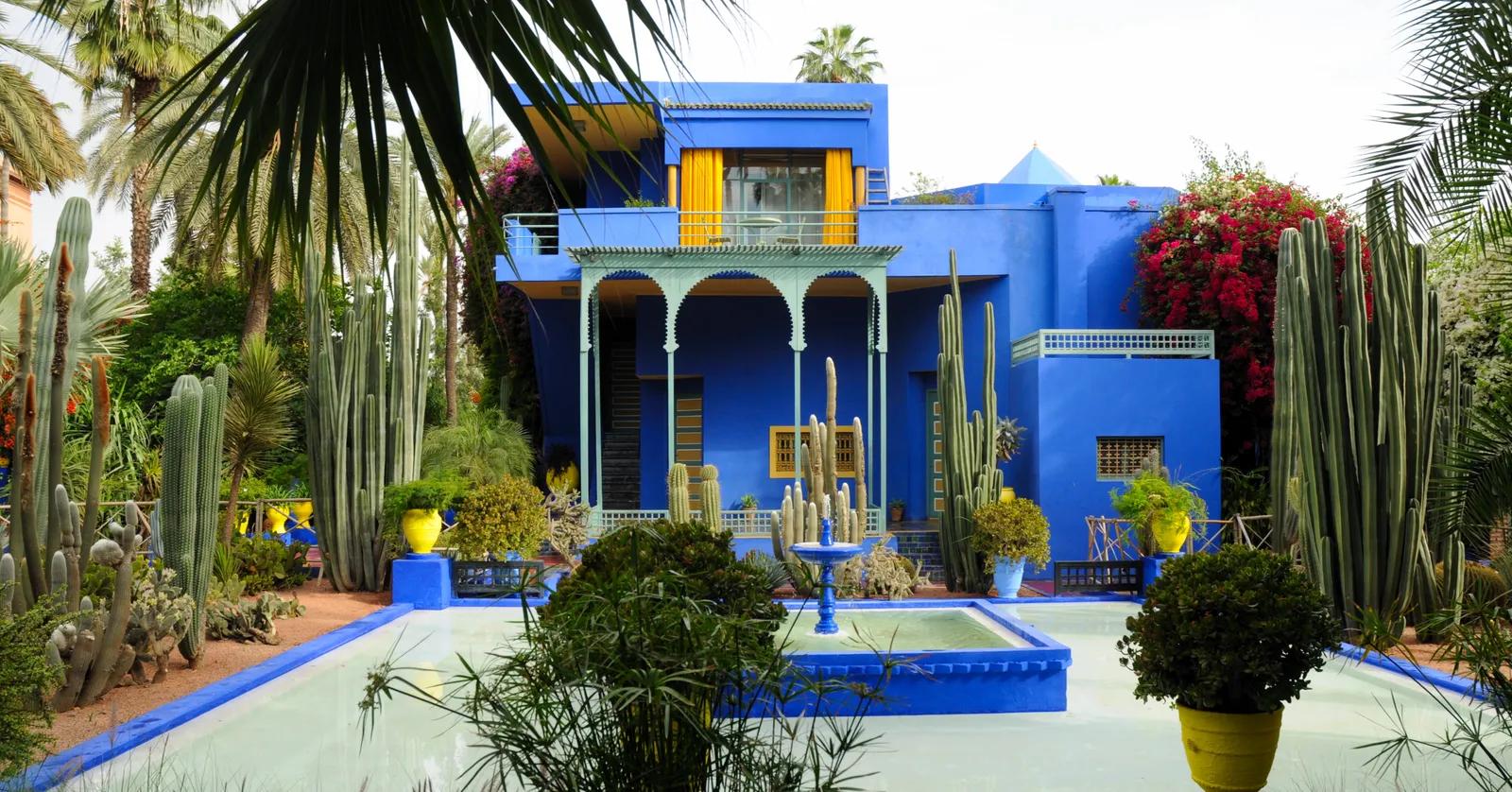 The villa in Marrakech's Jardin Majorelle, painted a deep cobalt blue with yellow window frames, standing behind a shallow blue-edged pool, tall columnar cacti, palms and a bank of pink bougainvillea around it