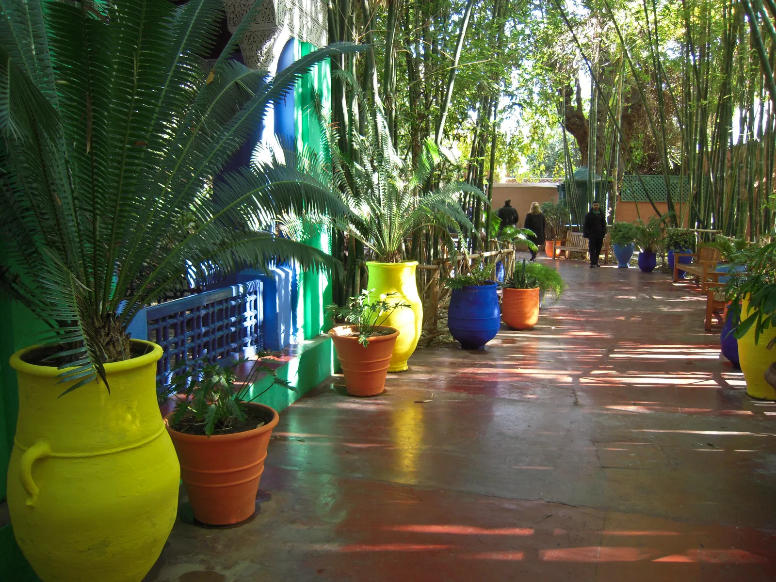 A shaded path in the Jardin Majorelle in Marrakech, lined with large yellow, cobalt-blue and terracotta pots against a blue wall, with a stand of tall bamboo on the right and dappled light on the paving
