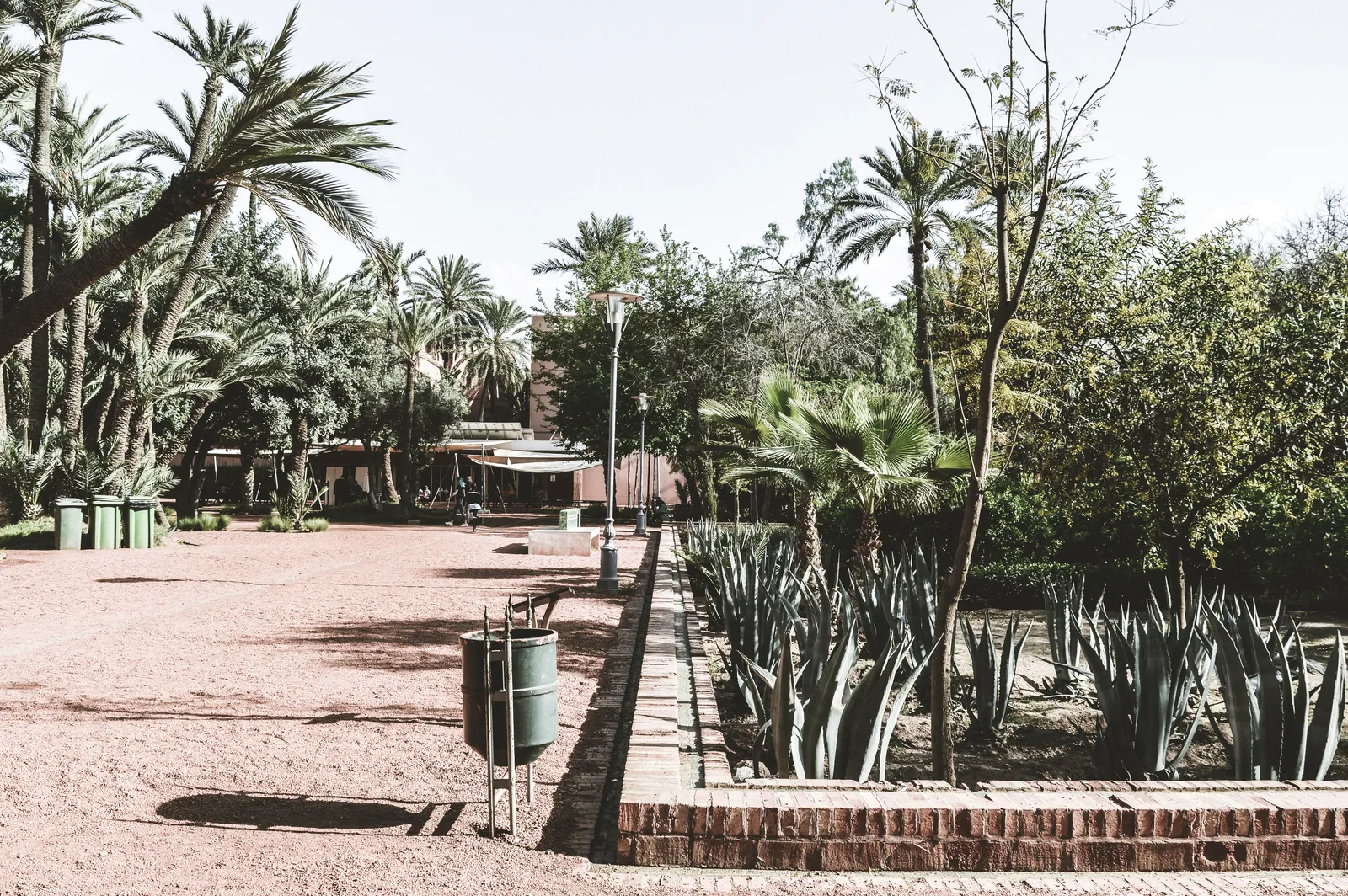 A wide gravel path through the Cyber Park Arsat Moulay Abdeslam in Marrakech, lined with tall palms, olive trees and a bed of agave, with benches and a low pavilion in the shade at the far end