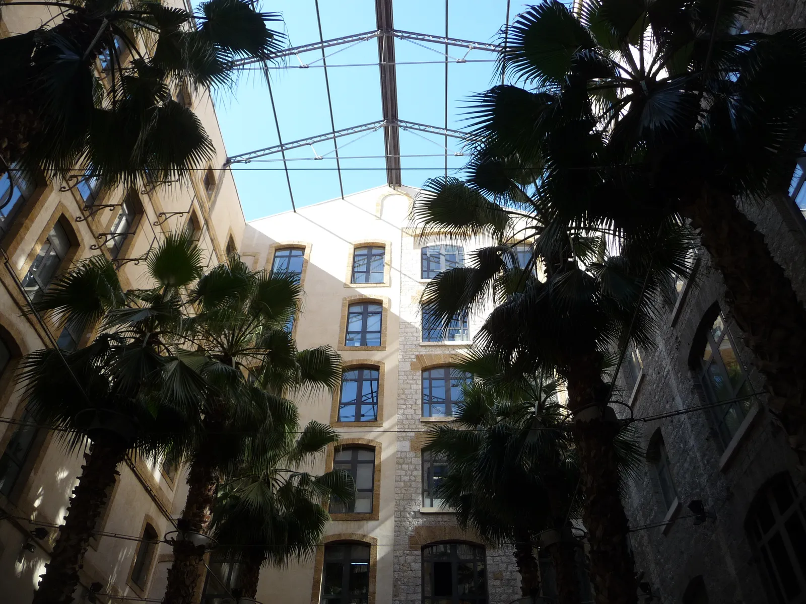 One of the glass-roofed courtyards inside Les Docks in Marseille, palm trees rising between the stone warehouse walls and their rows of arched windows
