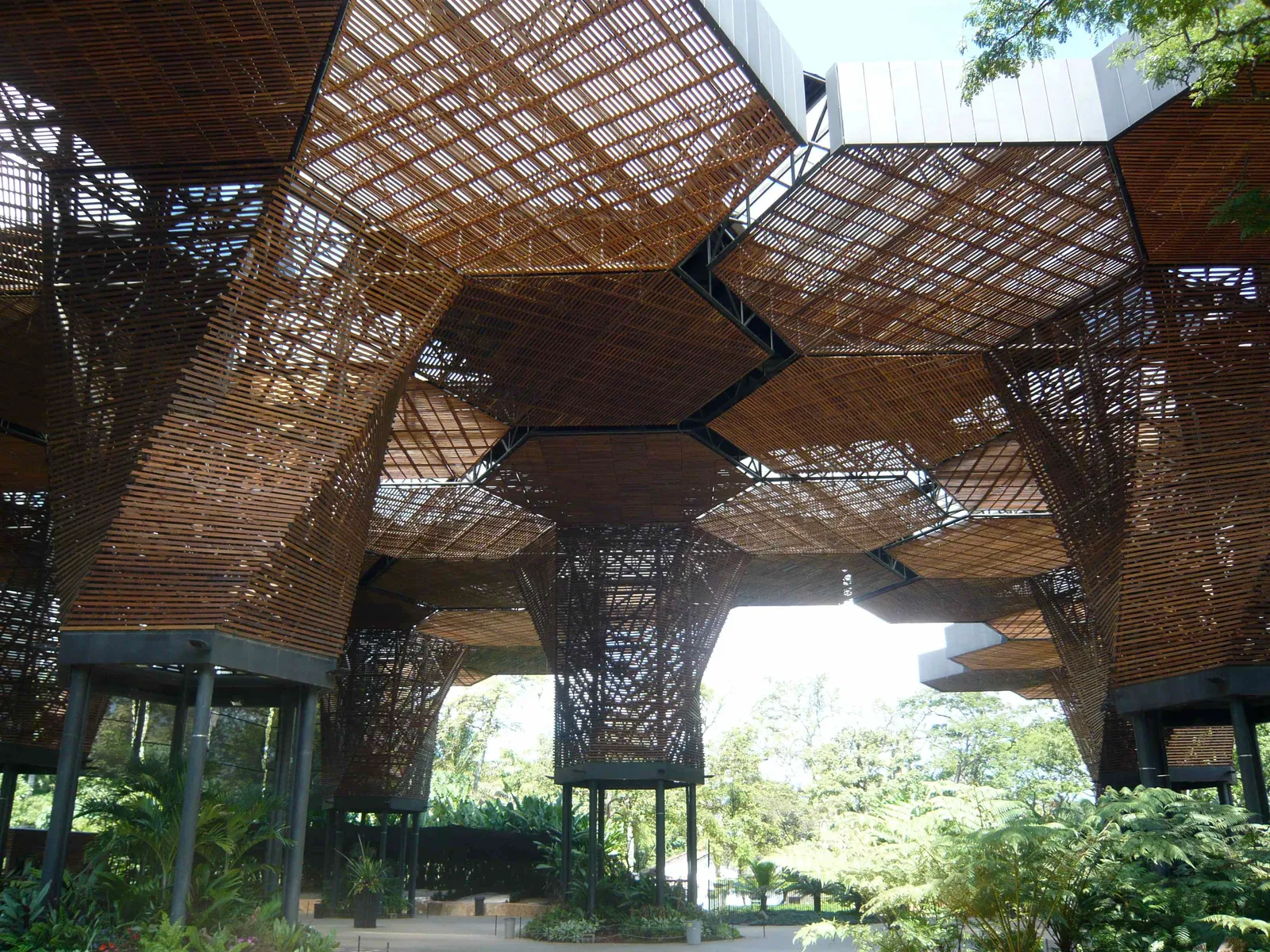 The interlocking hexagonal timber canopy of the Orquideorama at Medellín's botanical garden, seen from below with sunlight filtering through the wooden lattice