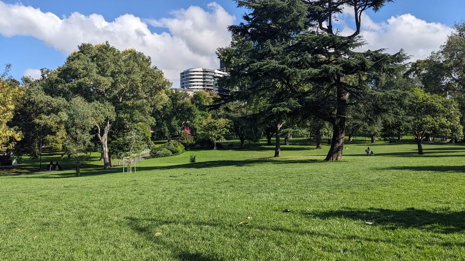 Open lawns and mature trees in Flagstaff Gardens in Melbourne, sloping away from William Street with a white apartment block above the treeline