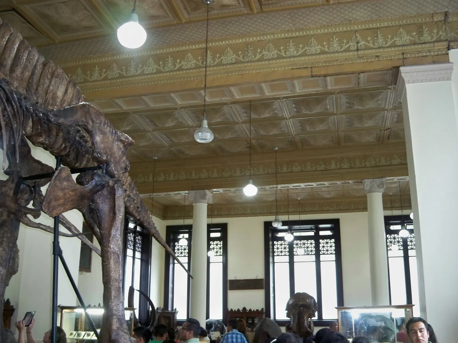 A mounted dinosaur skeleton under the coffered and stencilled ceiling of the UNAM geology museum in Santa María la Ribera, with tall arched windows along the far wall