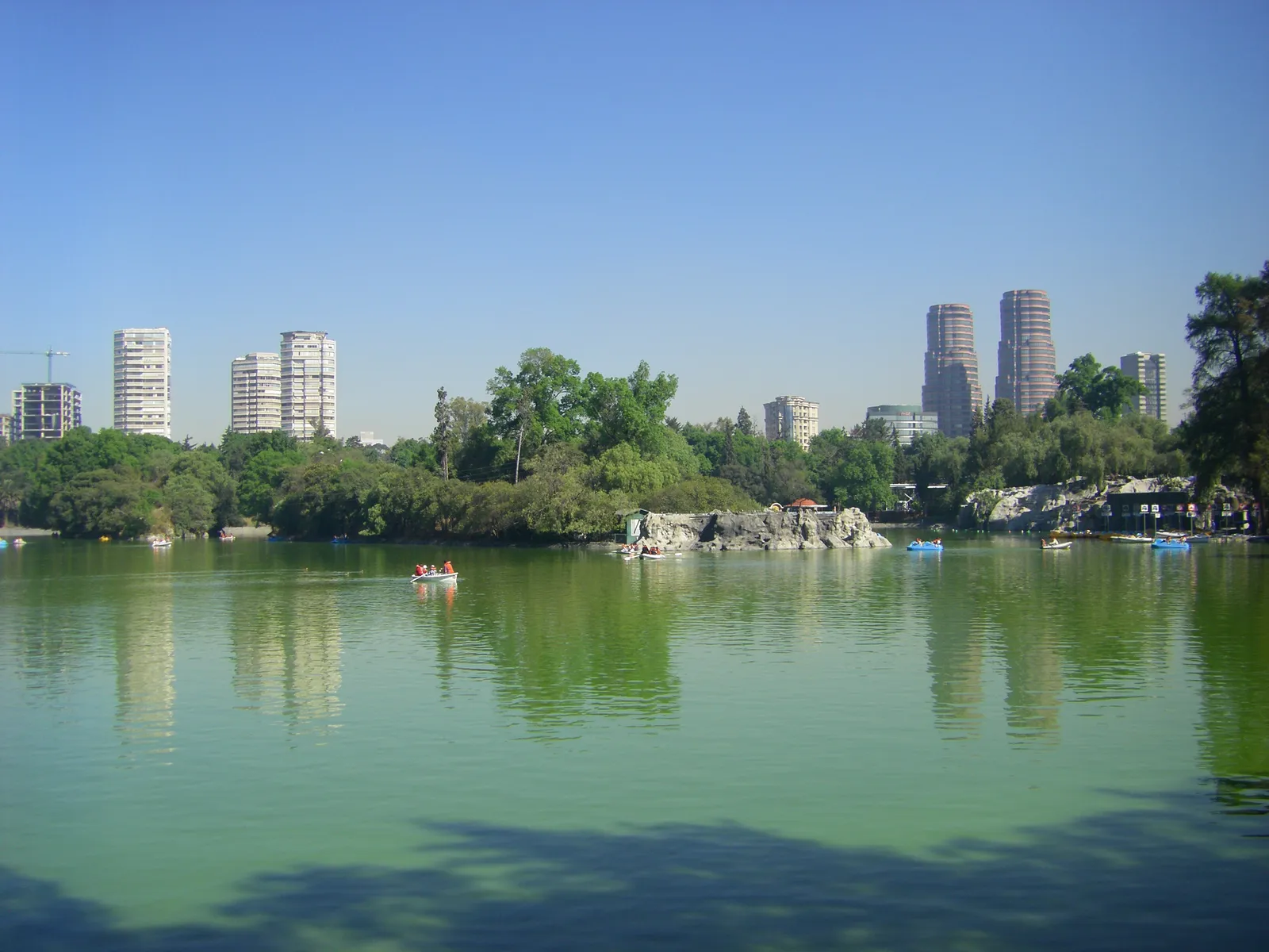 Rowing boats on the green water of the Chapultepec lake in Mexico City, with wooded banks and the office towers of Polanco rising behind the trees