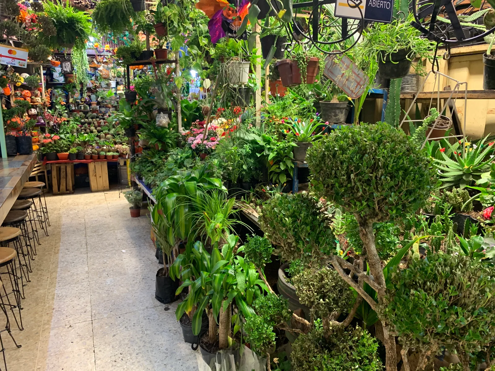 An aisle of plant stalls inside the covered Mercado de Coyoacán in Mexico City, with potted greenery stacked to head height on both sides of the tiled floor