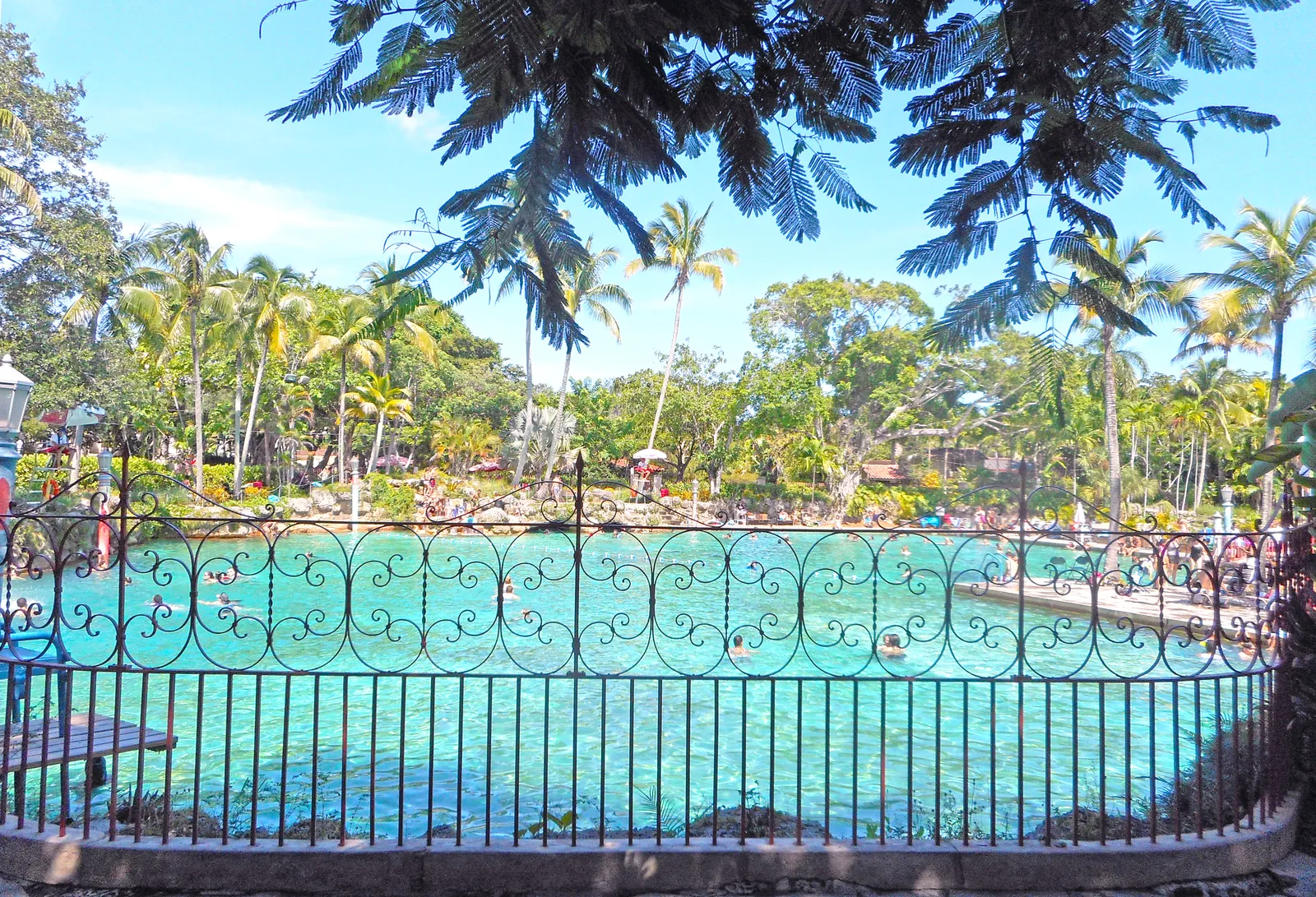 Venetian Pool in Coral Gables, Miami, seen through an ornamental iron railing, turquoise water filling a former rock quarry ringed by palms, with swimmers in the distance