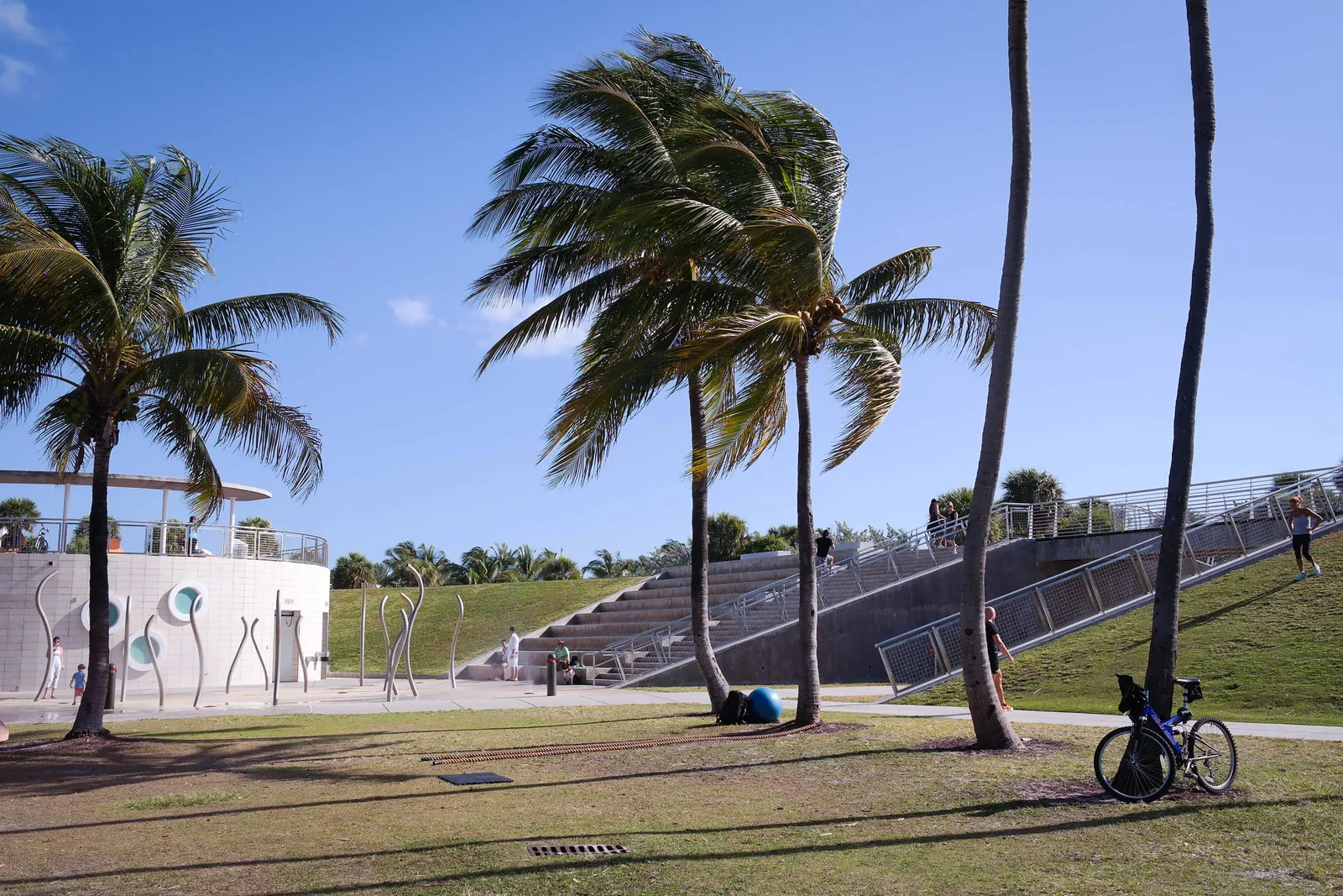South Pointe Park at the southern tip of Miami Beach, palm trees bending in the wind over a lawn, with a paved path, a curved white park building and a grassy terraced slope