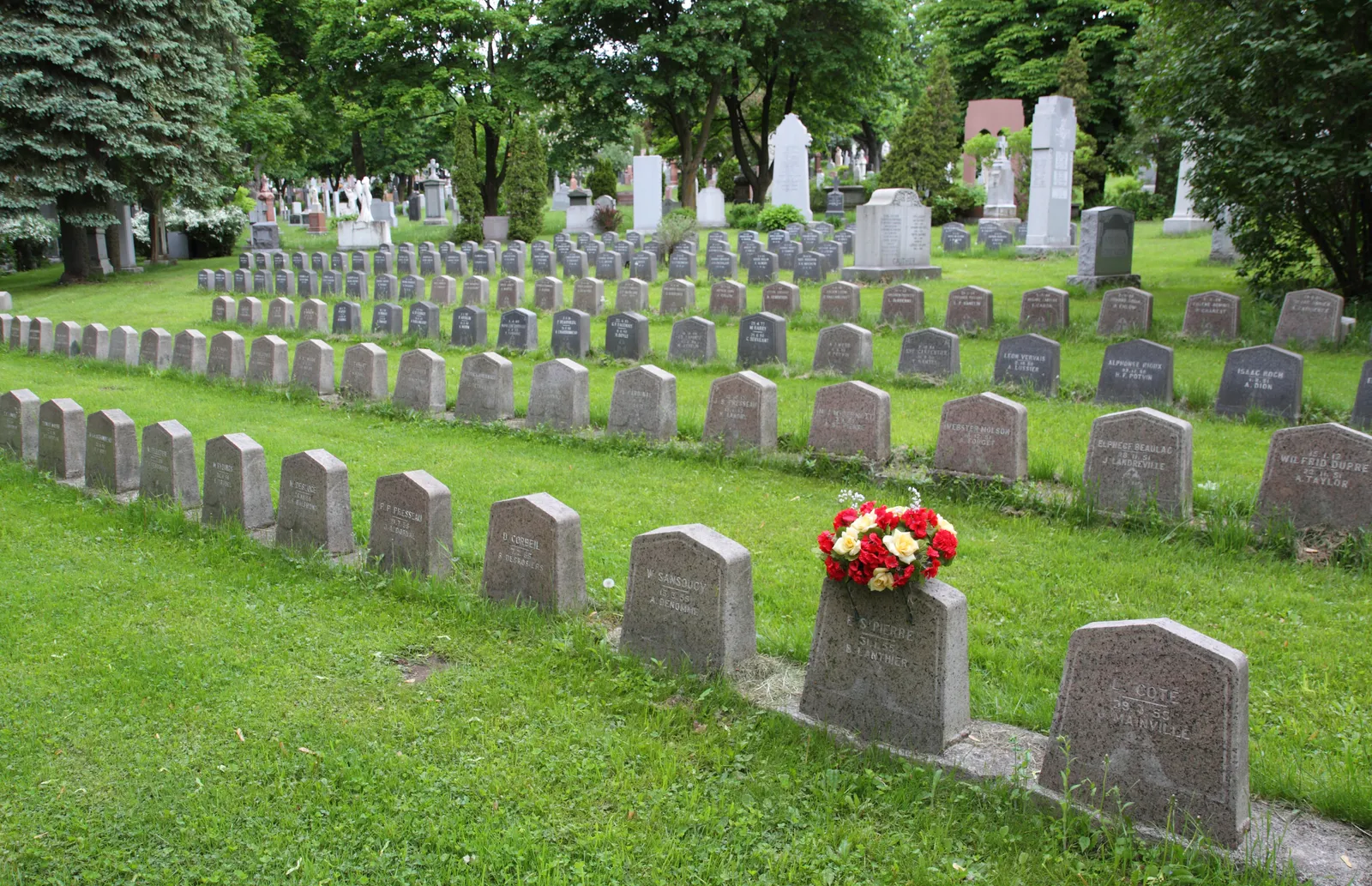 Rows of low headstones running across mown grass at Notre-Dame-des-Neiges cemetery in Montreal, with taller monuments and mature trees on the slope behind