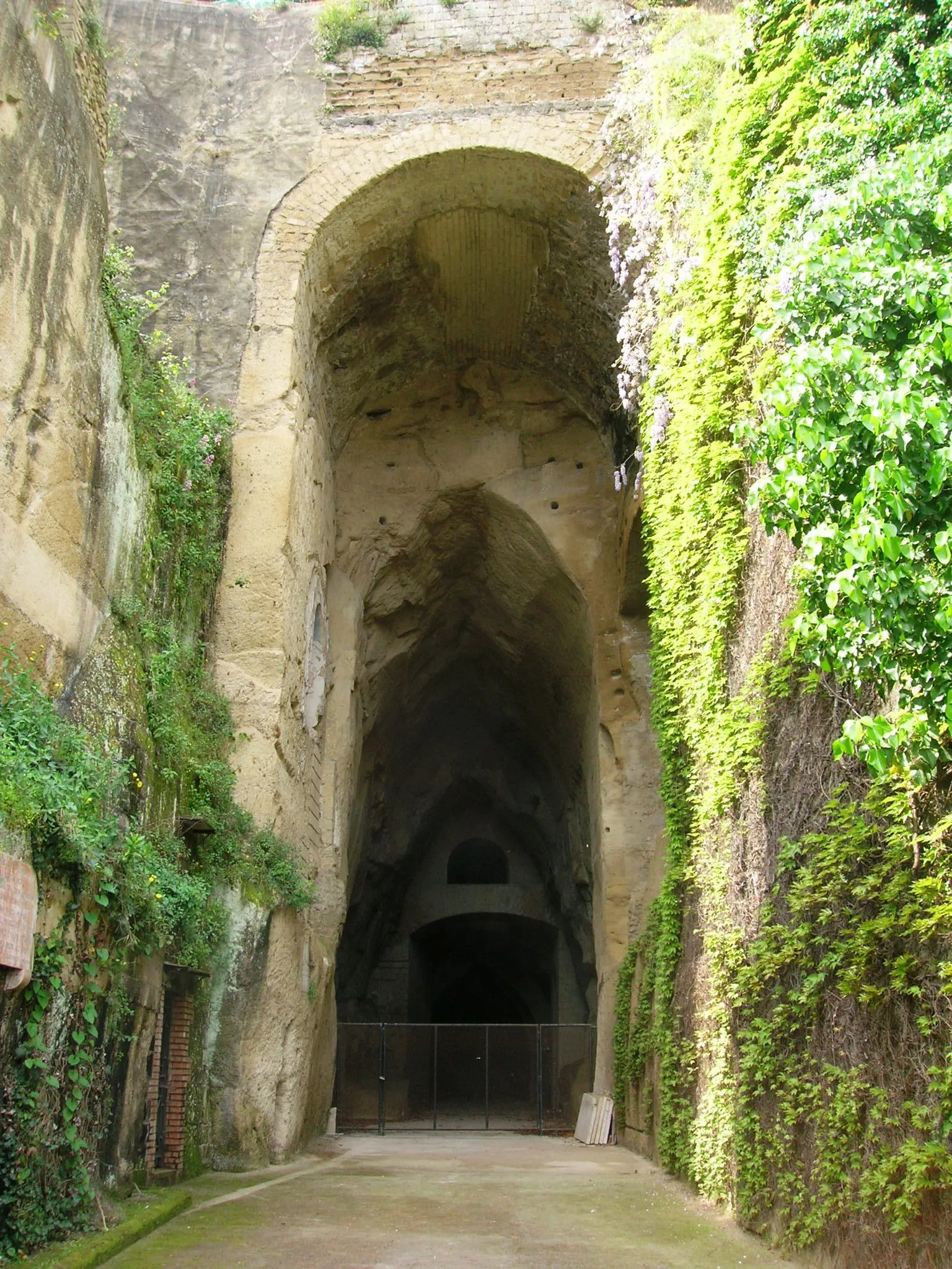 The mouth of the Crypta Neapolitana in Naples, a tall arched Roman road tunnel cut through yellow tuff, gated shut at the far end, with ivy hanging down the rock walls on either side