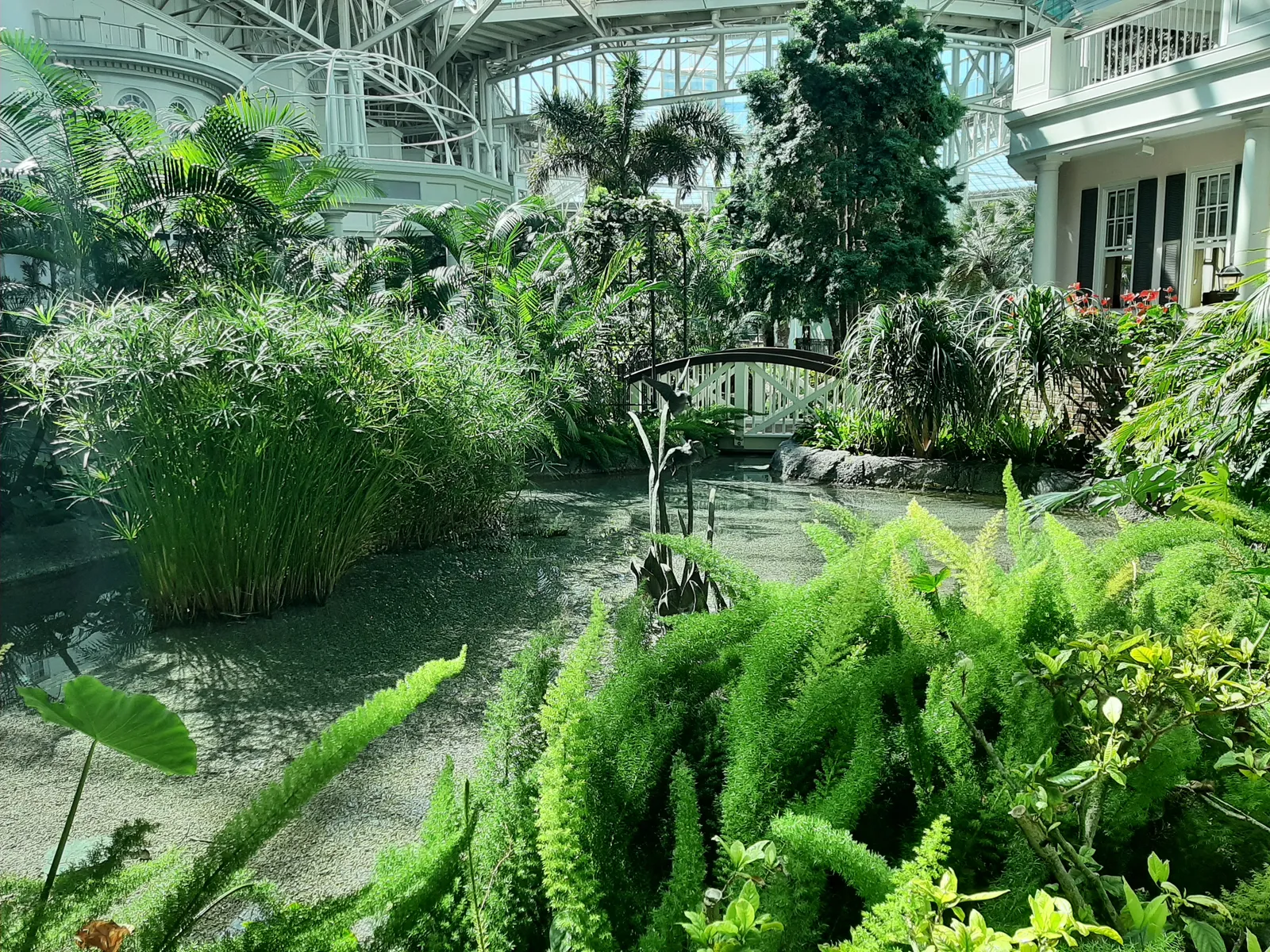 An indoor garden under a glass roof at the Opryland hotel in Nashville, with palms, ferns and reeds around a still waterway crossed by a small arched bridge