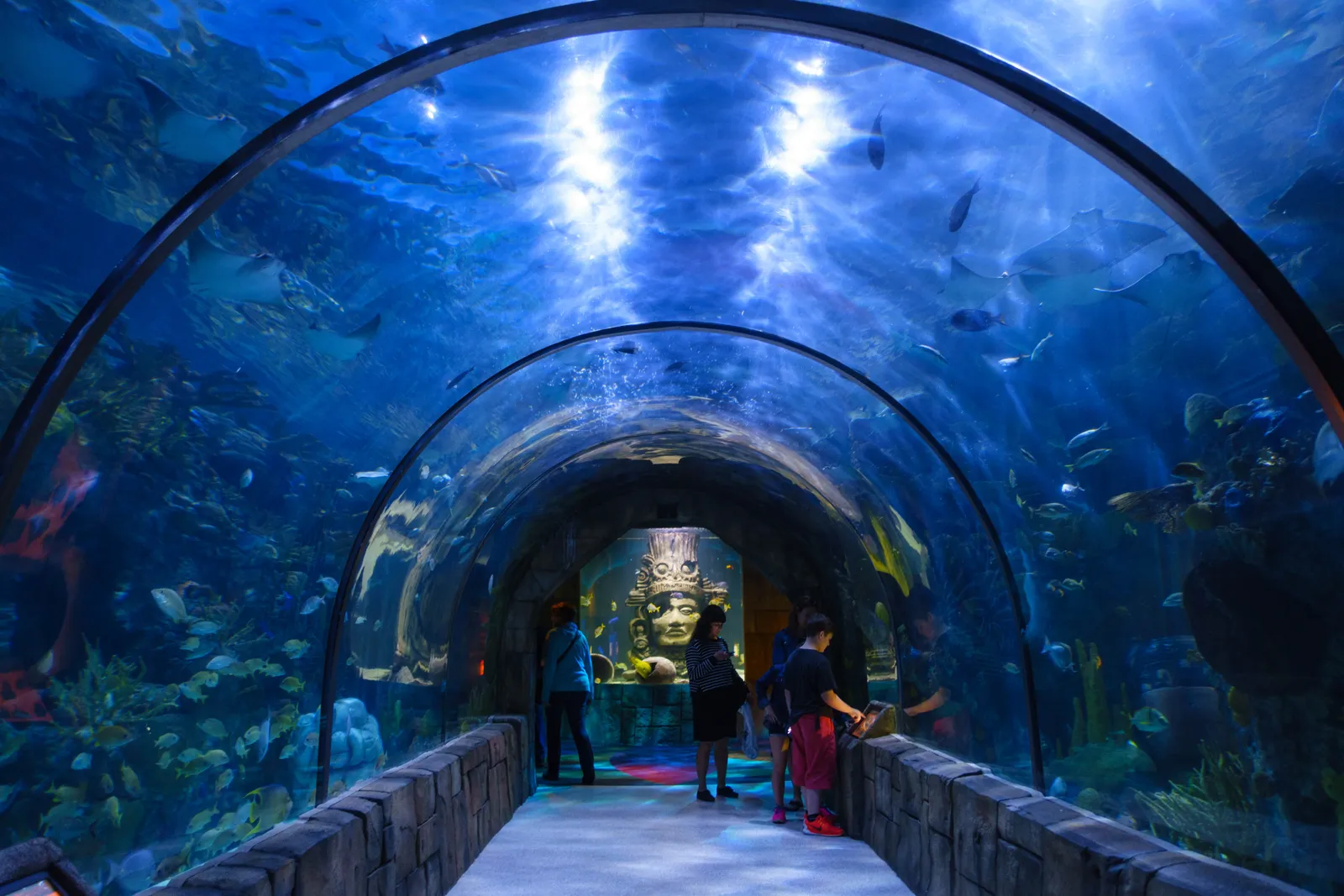 The curved acrylic walk-through tunnel at the Audubon Aquarium in New Orleans, water and fish overhead on both sides with visitors walking through it
