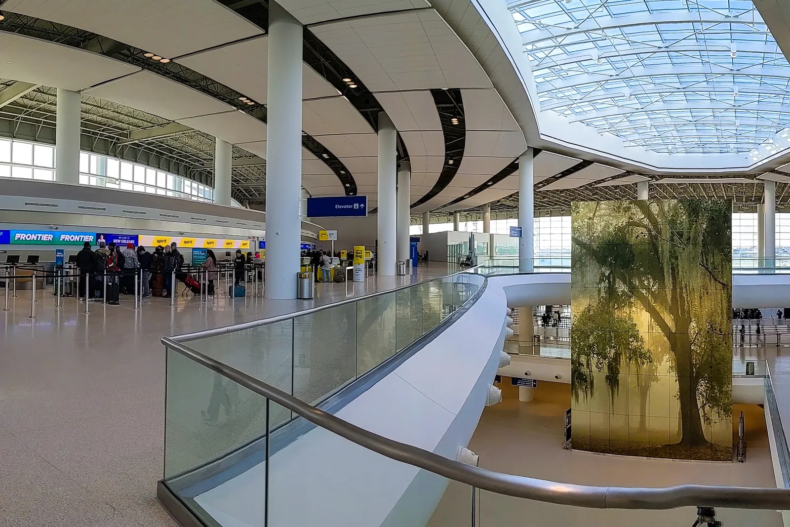 The check-in hall of the New Orleans airport terminal, airline desks along the left under a curved white ceiling, a long skylight overhead and a full-height photograph of a live oak trailing Spanish moss mounted on a column