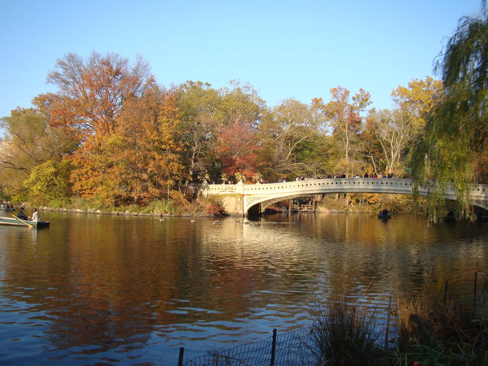 Bow Bridge in Central Park, a low cast iron arch crossing the Lake between autumn trees with rowing boats on the water below it