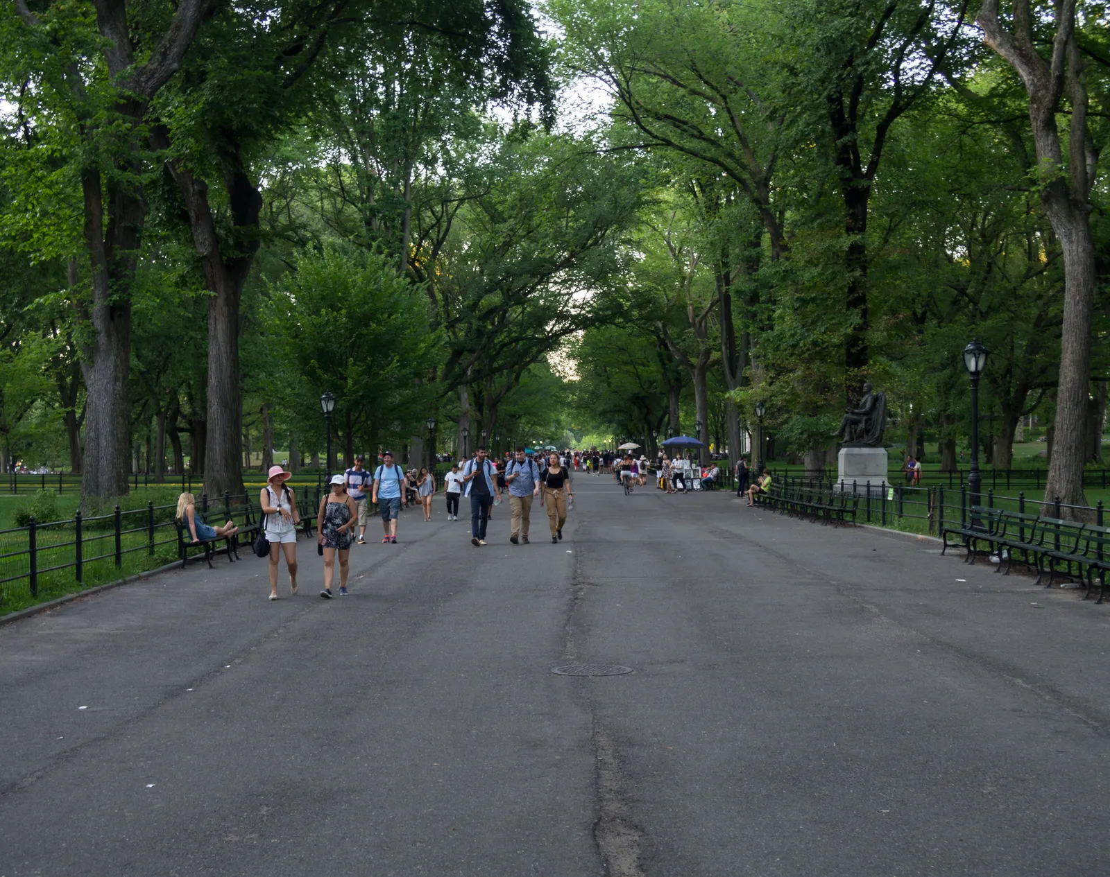 The Mall in Central Park, a wide straight promenade with benches along both sides under four rows of American elms whose branches meet overhead