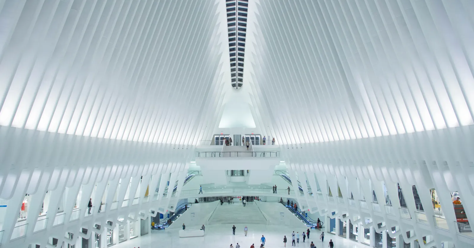 The interior of the Oculus at the World Trade Center, white steel ribs curving up from the floor to a long skylight over a wide open marble hall with people crossing it
