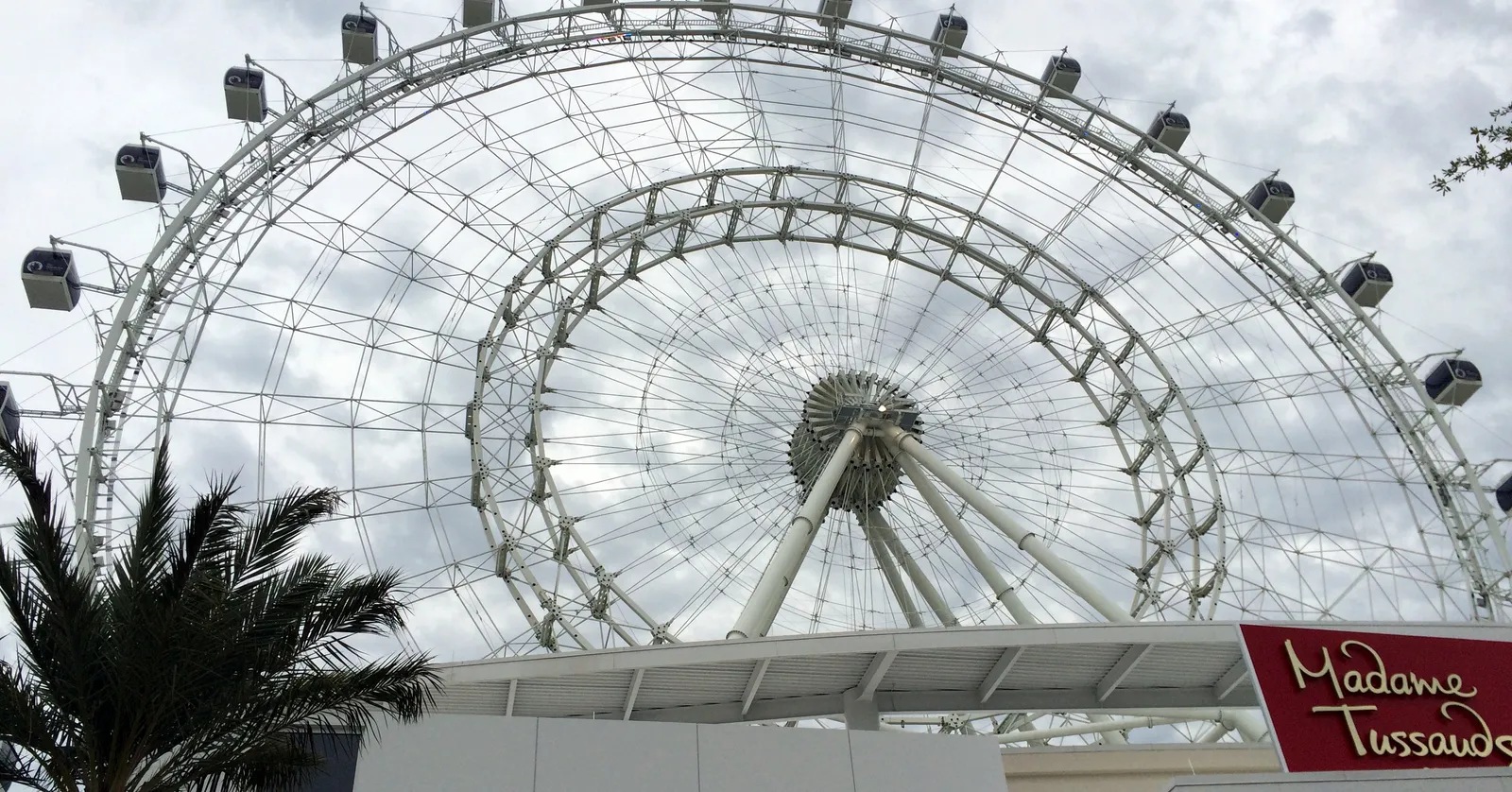 The open steel frame of the observation wheel at ICON Park seen from the plaza below, with a palm in the foreground and a Madame Tussauds sign at the corner of the building beneath it