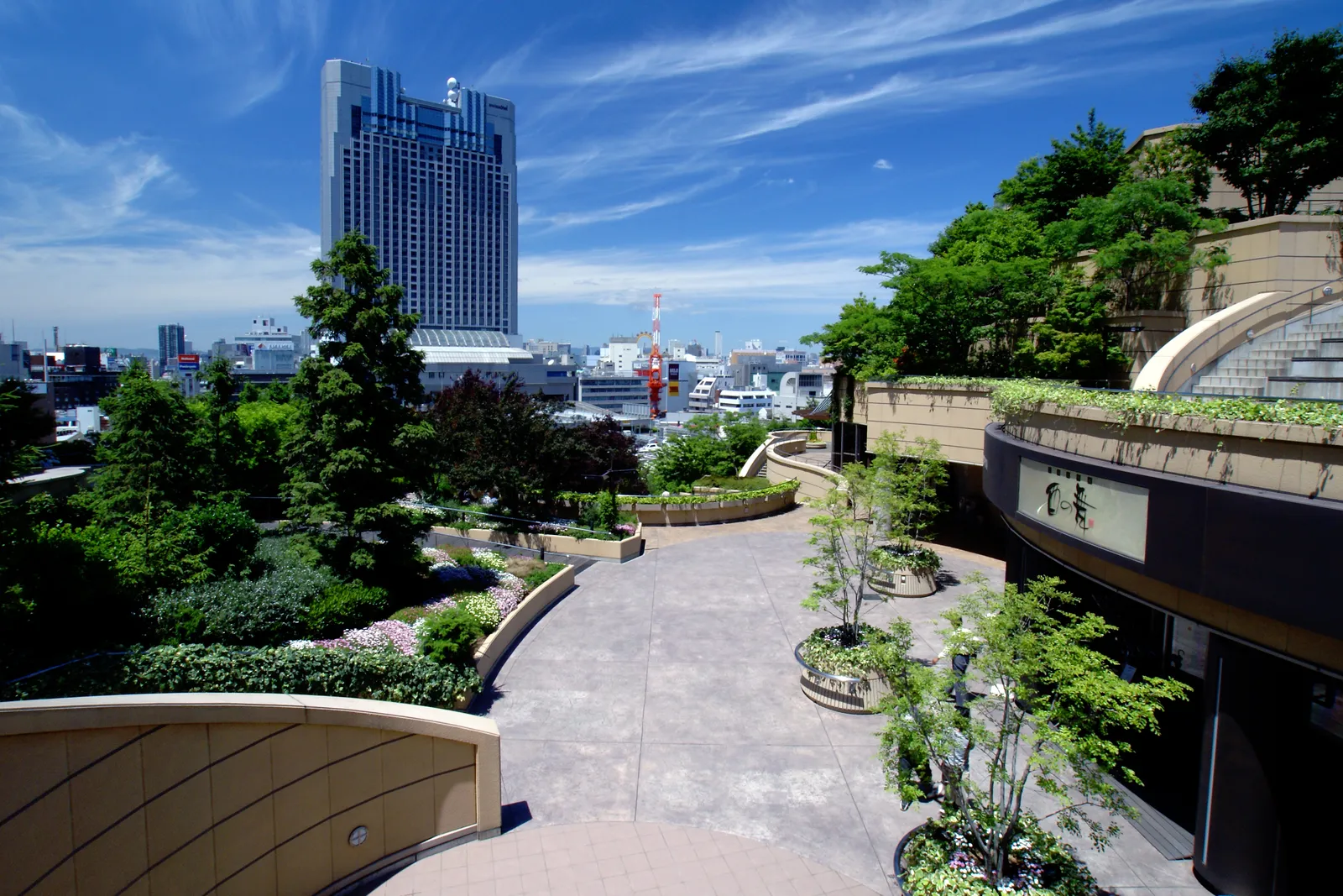 A planted terrace on the roof of Namba Parks in Osaka, a curving paved walkway between beds of shrubs and young trees, with the city and a tall hotel tower visible beyond the parapet