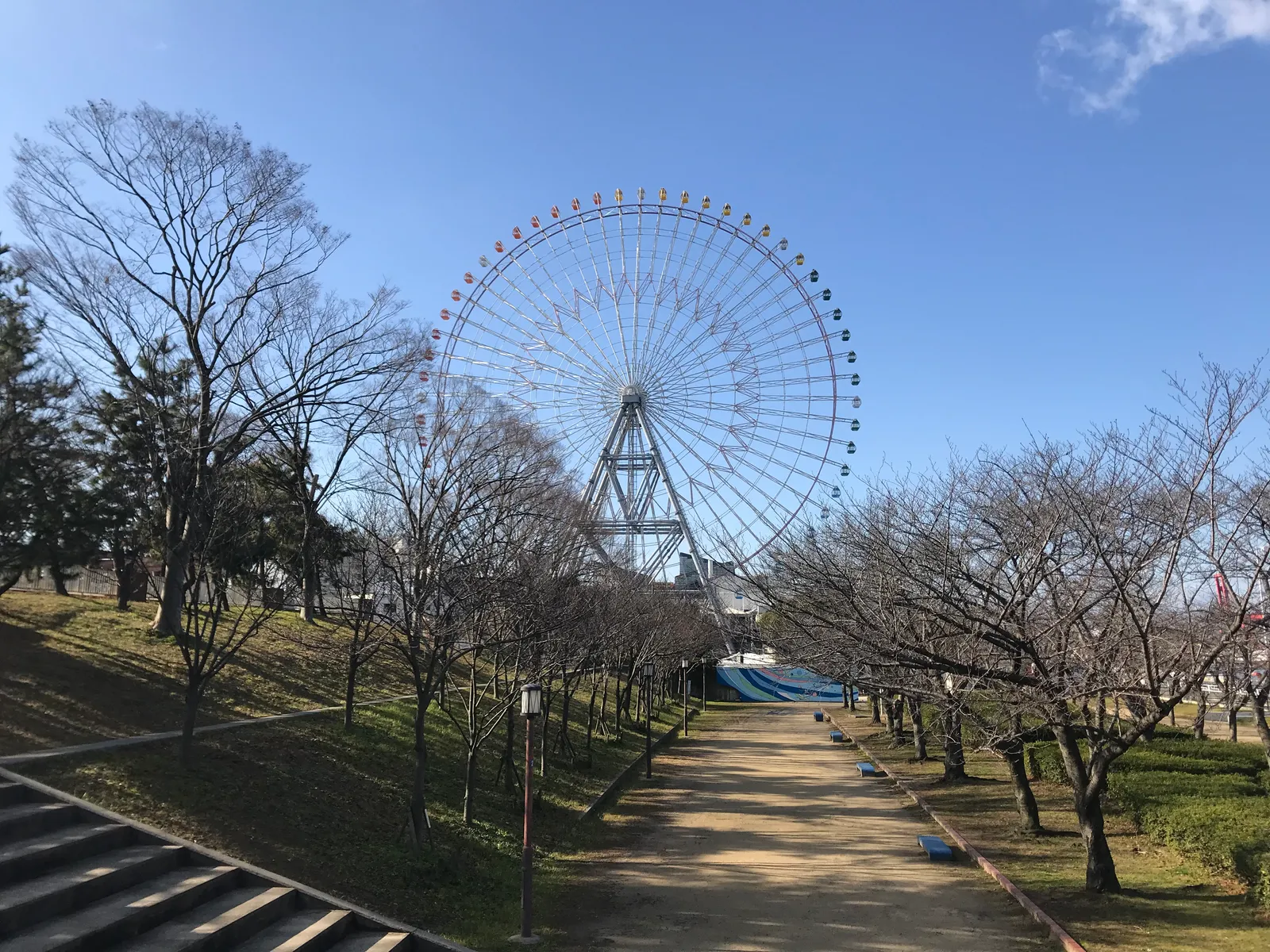 The Tempozan Ferris wheel seen from a path in Tempozan Park, a tall white wheel with red-tipped spokes standing above bare winter trees and a grass bank