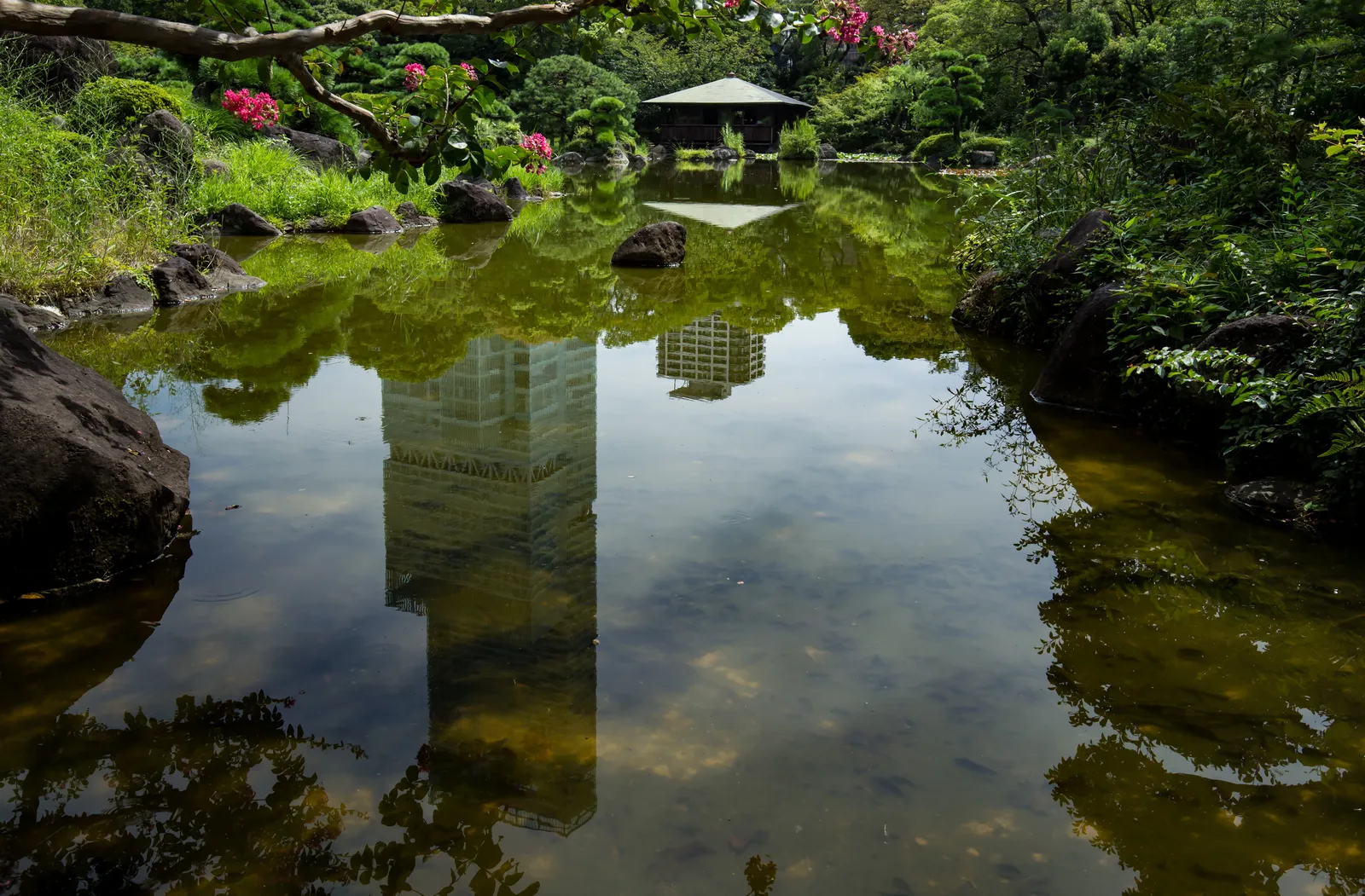 The pond at Keitakuen in Osaka, still green water framed by rocks and dense planting with a small roofed pavilion on the far bank and the outline of a tall tower reflected on the surface