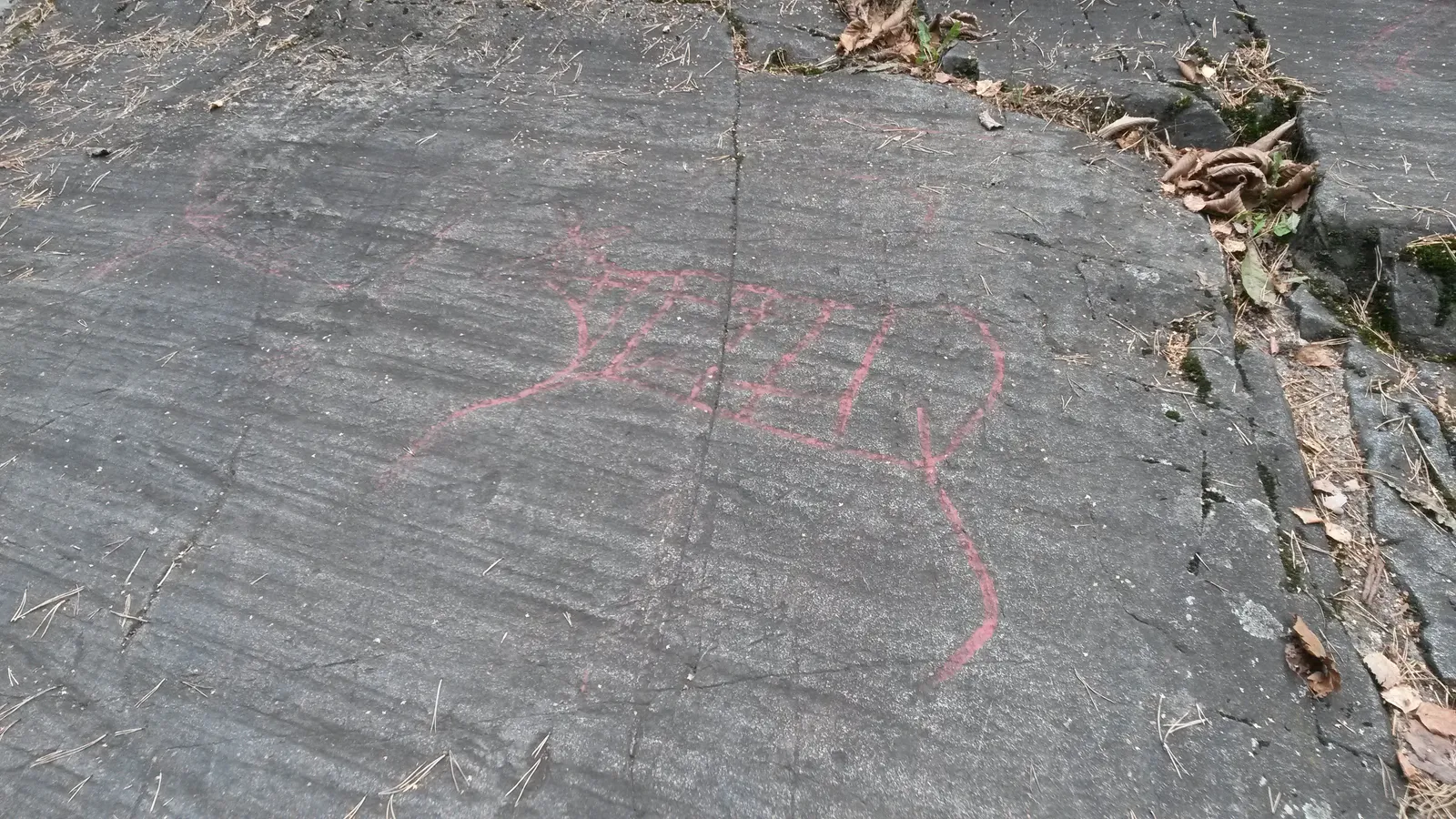 A sloping grey rock face on the Ekeberg hillside in Oslo with the outline of a large four-legged animal picked out in red paint over the carved lines