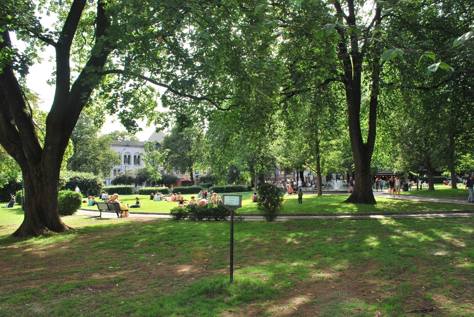 Olaf Ryes plass in Grünerløkka, Oslo, a green square shaded by mature trees with gravel paths, benches and people sitting on the grass, and apartment blocks visible through the branches