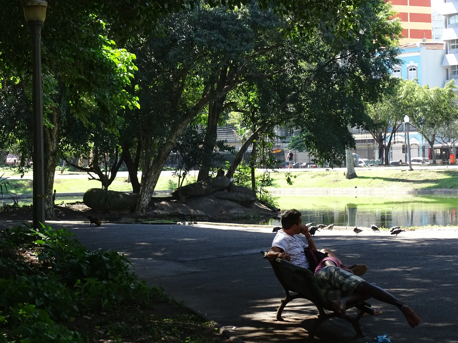 A shaded path through Campo de Santana park in central Rio de Janeiro, with old trees, a pond with waterbirds on the bank, a person resting on a bench and city buildings visible past the greenery