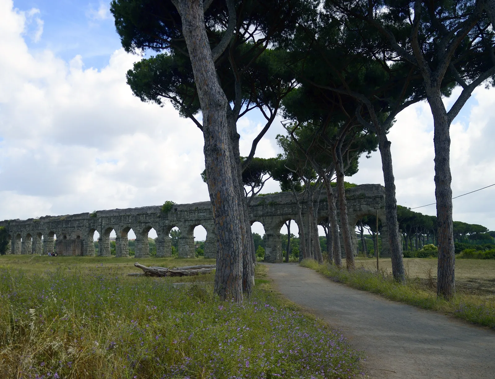 A long line of Roman aqueduct arches crossing open grassland in Rome's aqueduct park, with umbrella pines along a footpath in the foreground and wildflowers in the grass