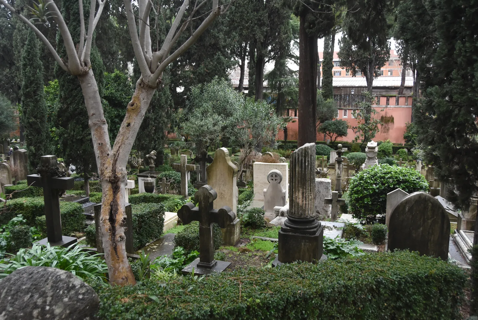Gravestones and a broken marble column among clipped box hedges, olive trees and cypresses in the Non-Catholic Cemetery in Rome, with an ochre building visible through the greenery behind