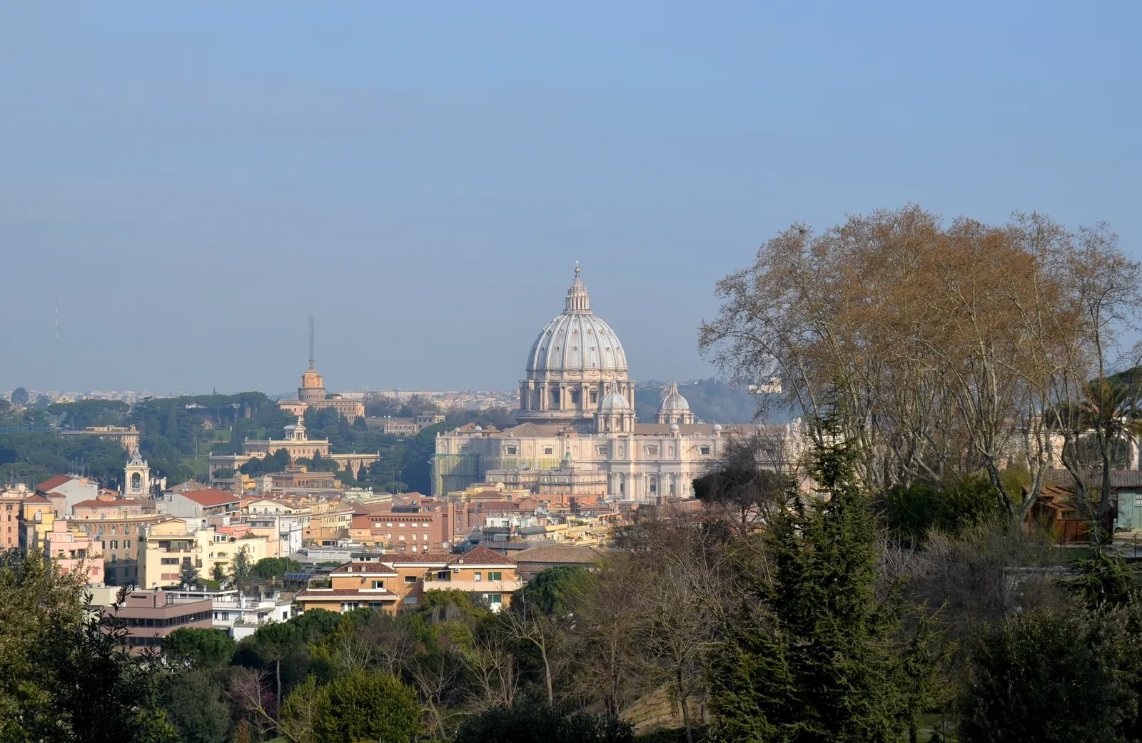 The view from the Janiculum hill over the rooftops of Rome on a clear morning, with the dome of St. Peter's rising above the city in the middle distance and plane trees framing the terrace
