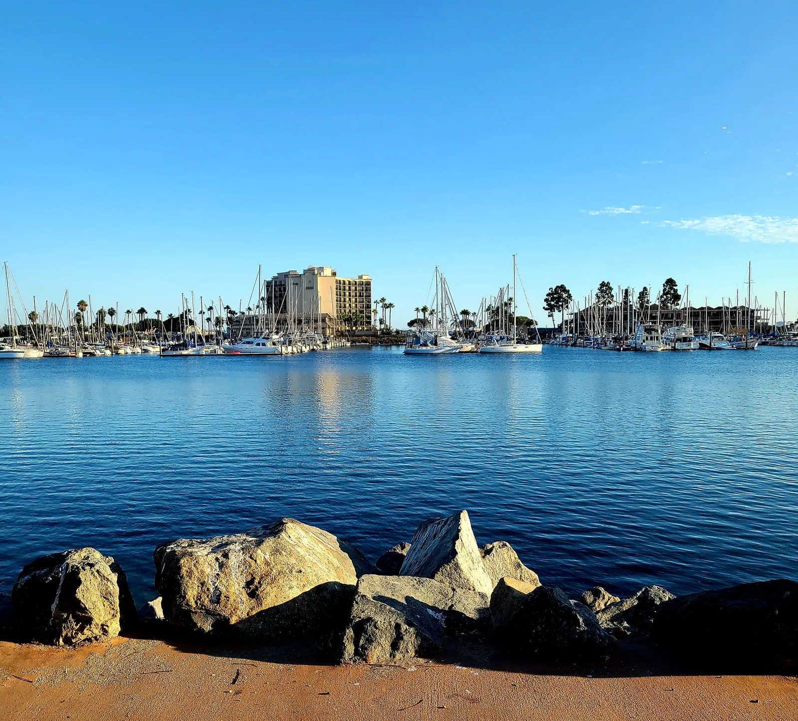 The water of San Diego Bay's West Basin seen from the rocky shore at Spanish Landing Park, with the masts of the Harbor Island marina and palms on the far side
