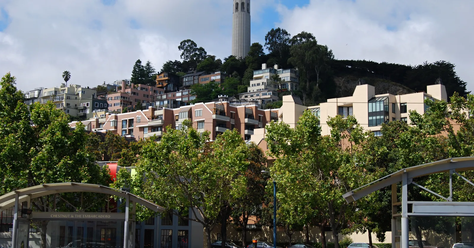 Coit Tower standing on the wooded summit of Telegraph Hill in San Francisco, a plain pale concrete column above the terraced houses and apartment blocks climbing the slope below it