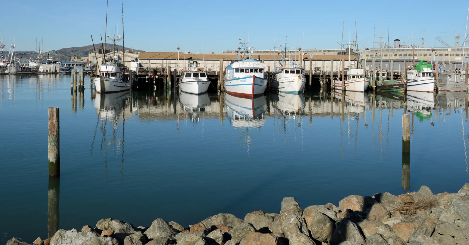 White fishing boats moored in a row at Fisherman's Wharf in San Francisco, their masts and hulls mirrored in still water with the wharf sheds behind them