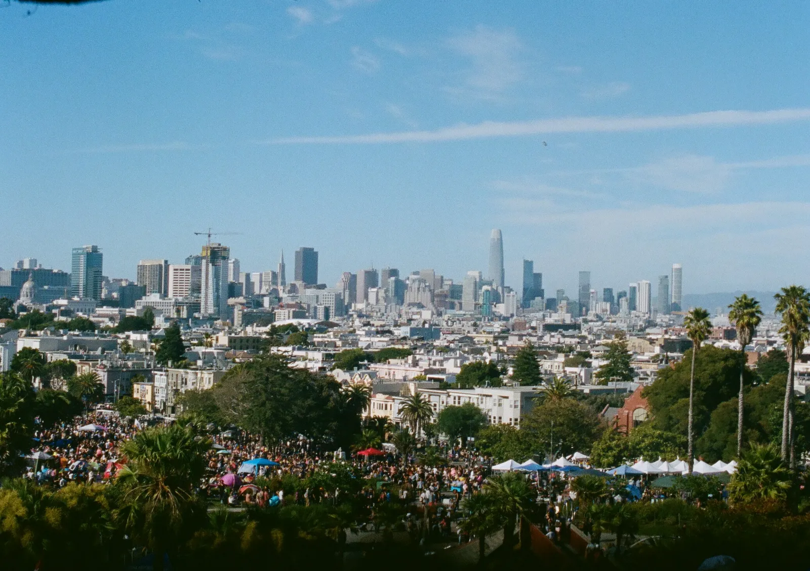 The downtown San Francisco skyline seen from the grass slope of Dolores Park, with palms along the edge of the park and people spread across the lawn in the sun