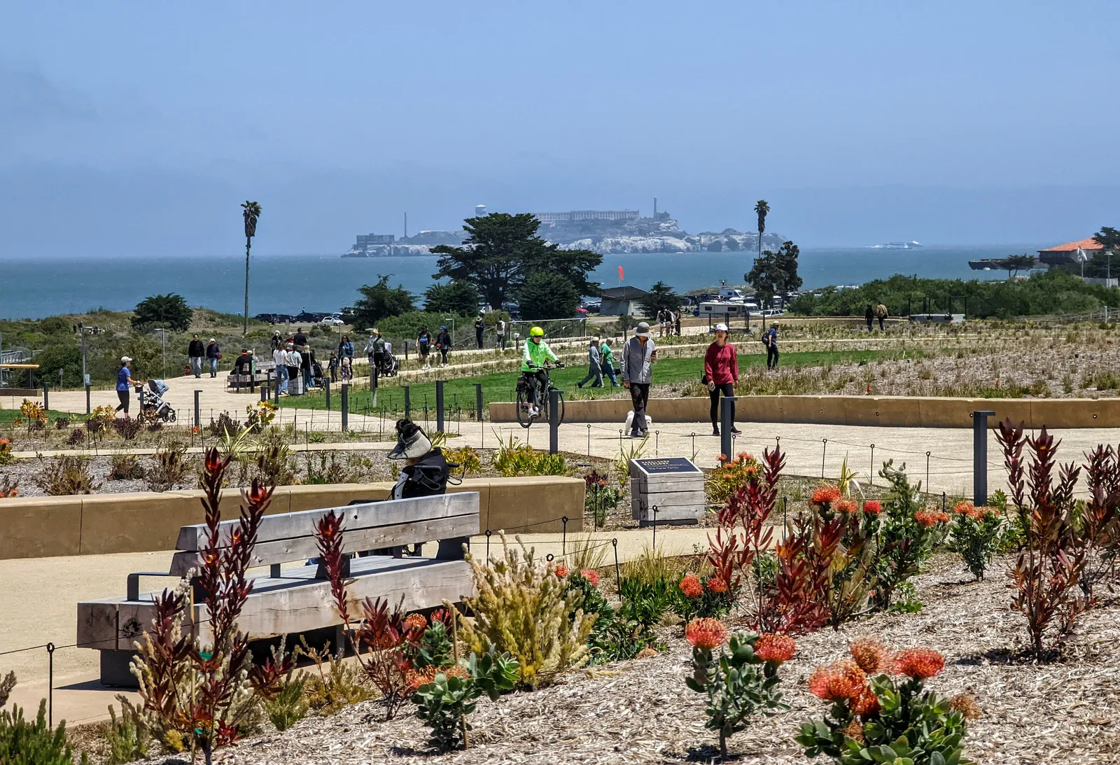 Presidio Tunnel Tops park in San Francisco, gravel paths and young native planting on a grassy bluff with people walking and cycling and Alcatraz Island out on the bay behind
