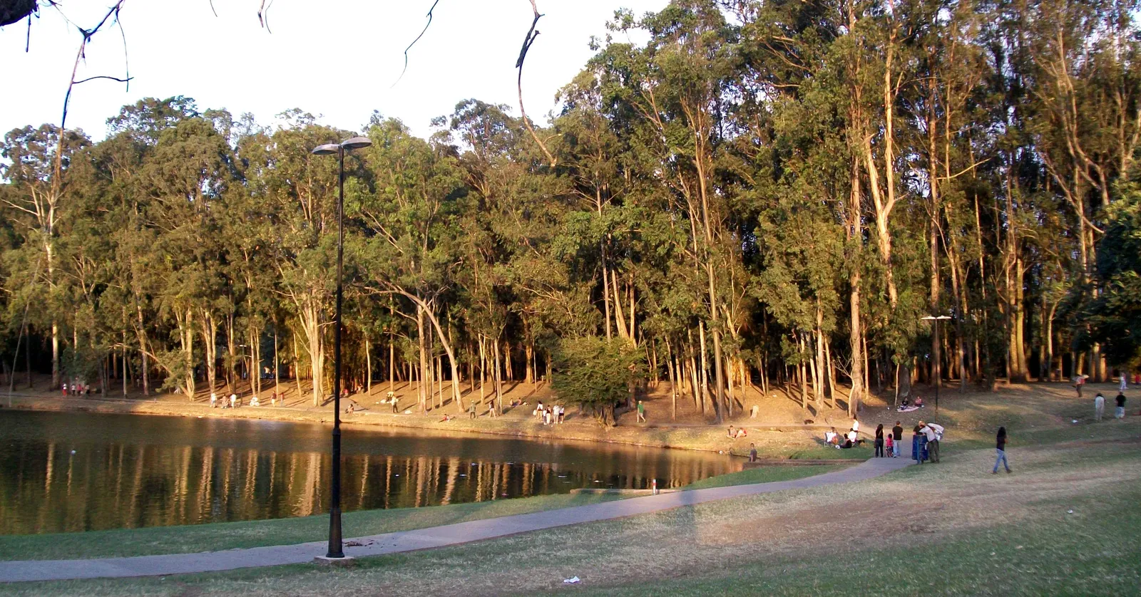 Late afternoon sun on the lake in Parque La Sabana, a paved path curving across mown grass in the foreground and a dense stand of eucalyptus rising from the far bank