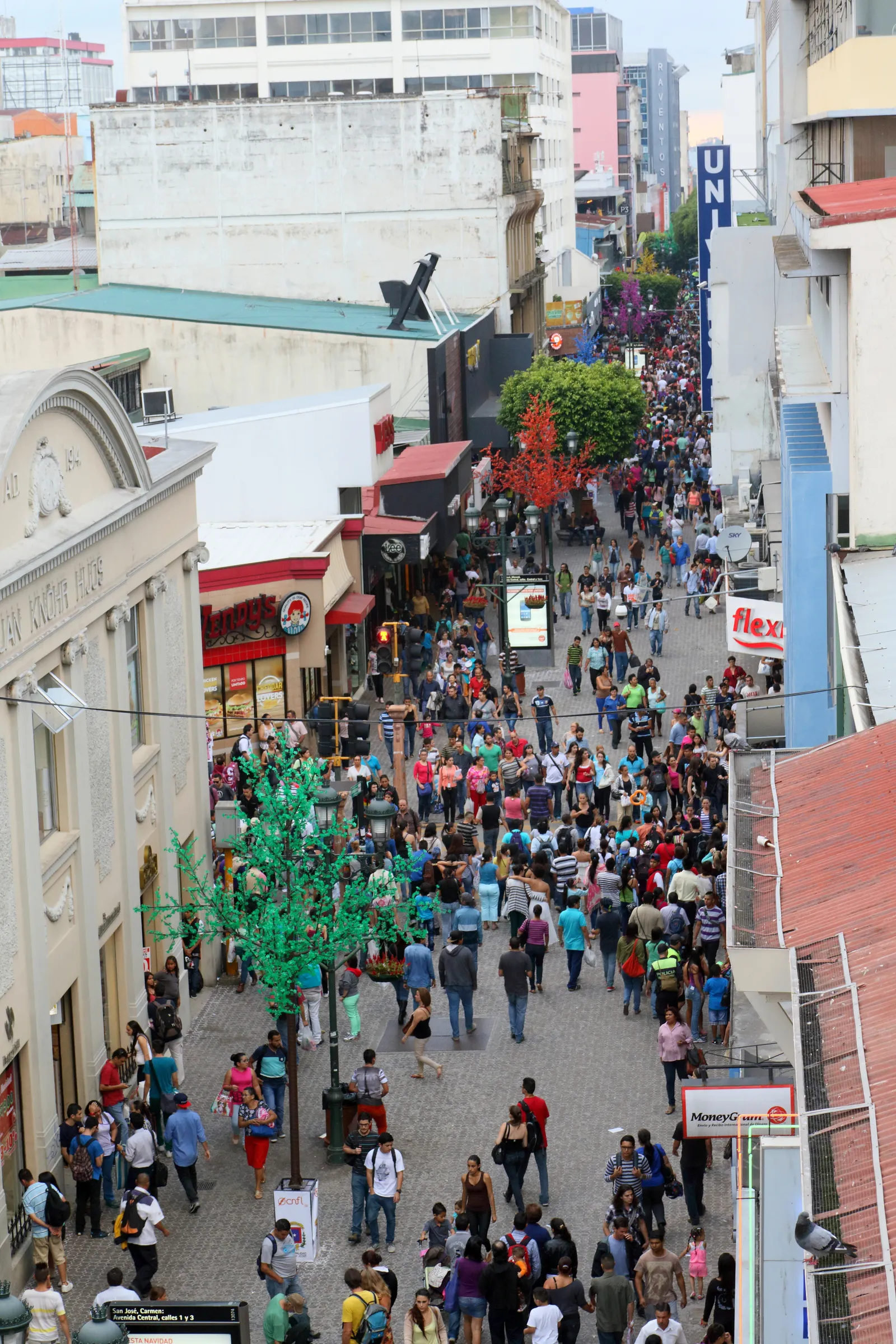 Looking down on the car-free stretch of Avenida Central in San Jose from above, the paved street packed with people between shopfronts and a green ornamental tree in the middle