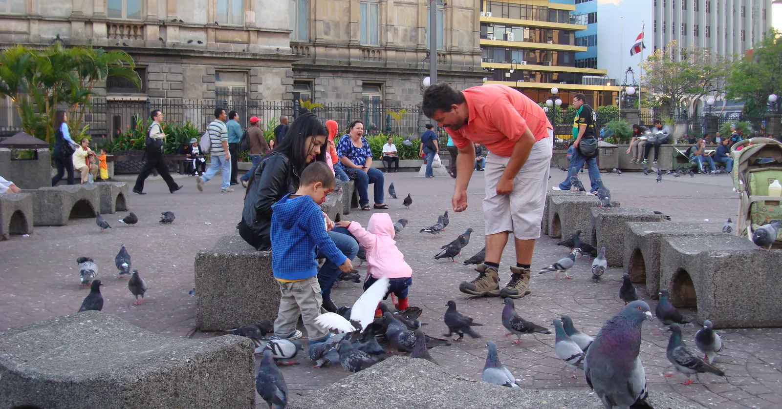 People feeding pigeons from low concrete blocks on the paved expanse of Plaza de la Cultura in San Jose, with office buildings and an older stone facade around the edges