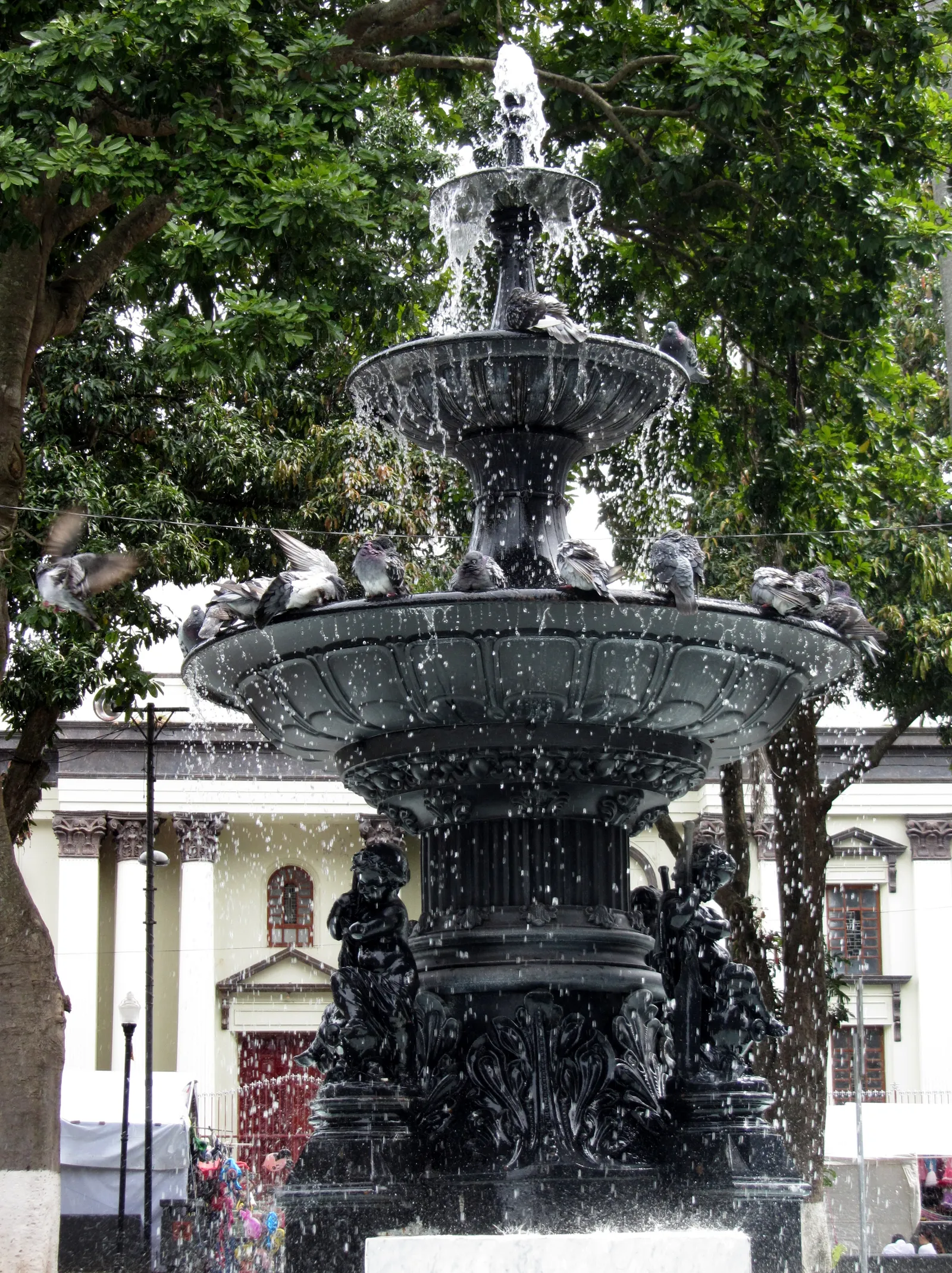 The tiered black cast-iron fountain in Alajuela's central park running at full flow, pigeons perched around its basin, under mango trees with a white colonnaded building behind